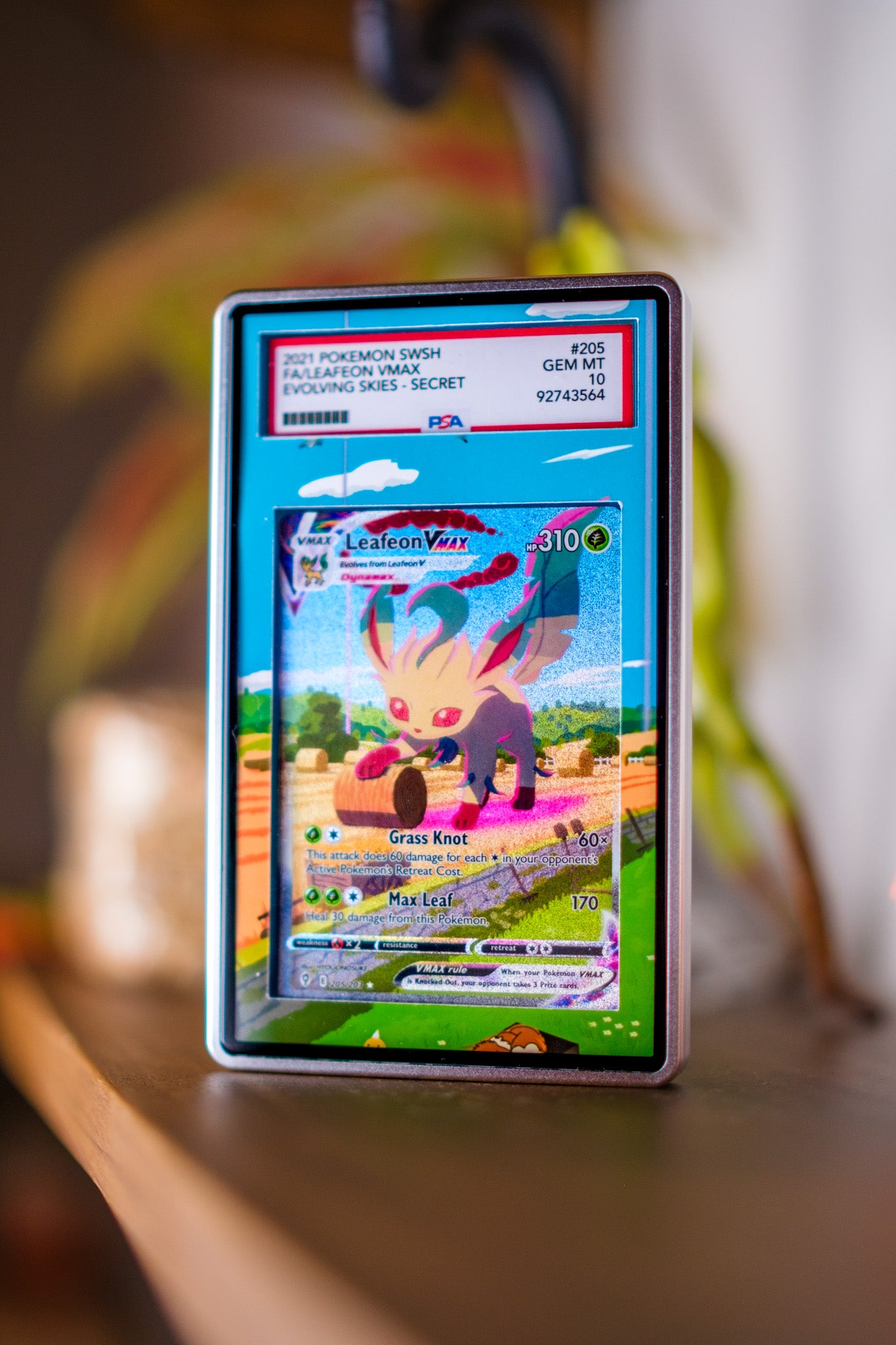 Leafeon VMAX Alt Art PSA CGC Beckett | Display Case Extended Art for Pokémon Card