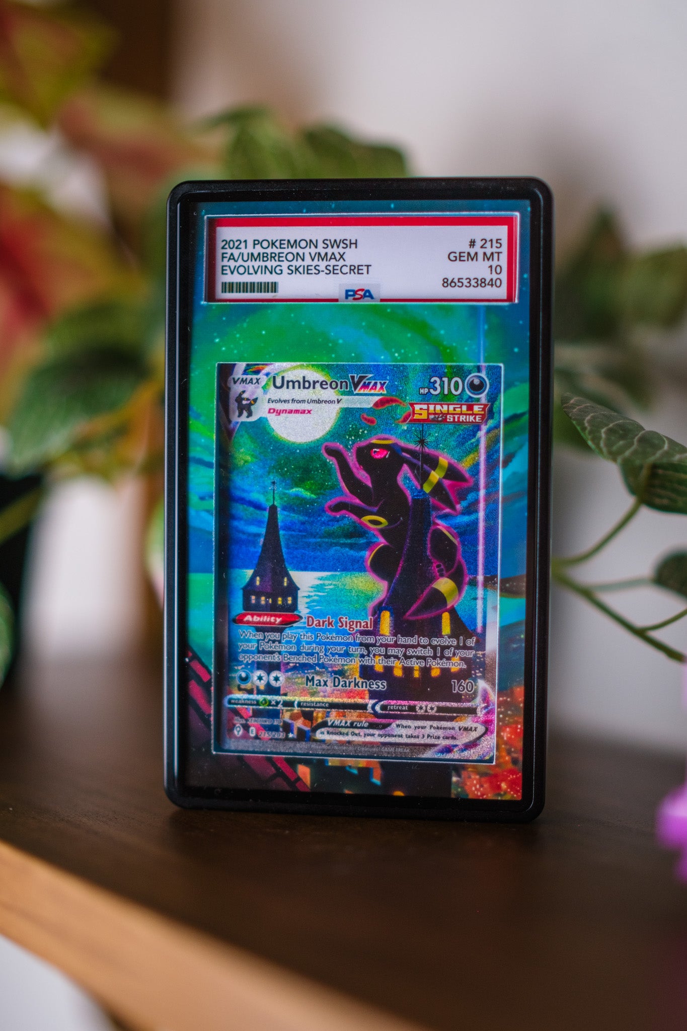 Umbreon VMAX Alt Art PSA CGC Beckett | Extended Art Display Case for Pokémon TCG
