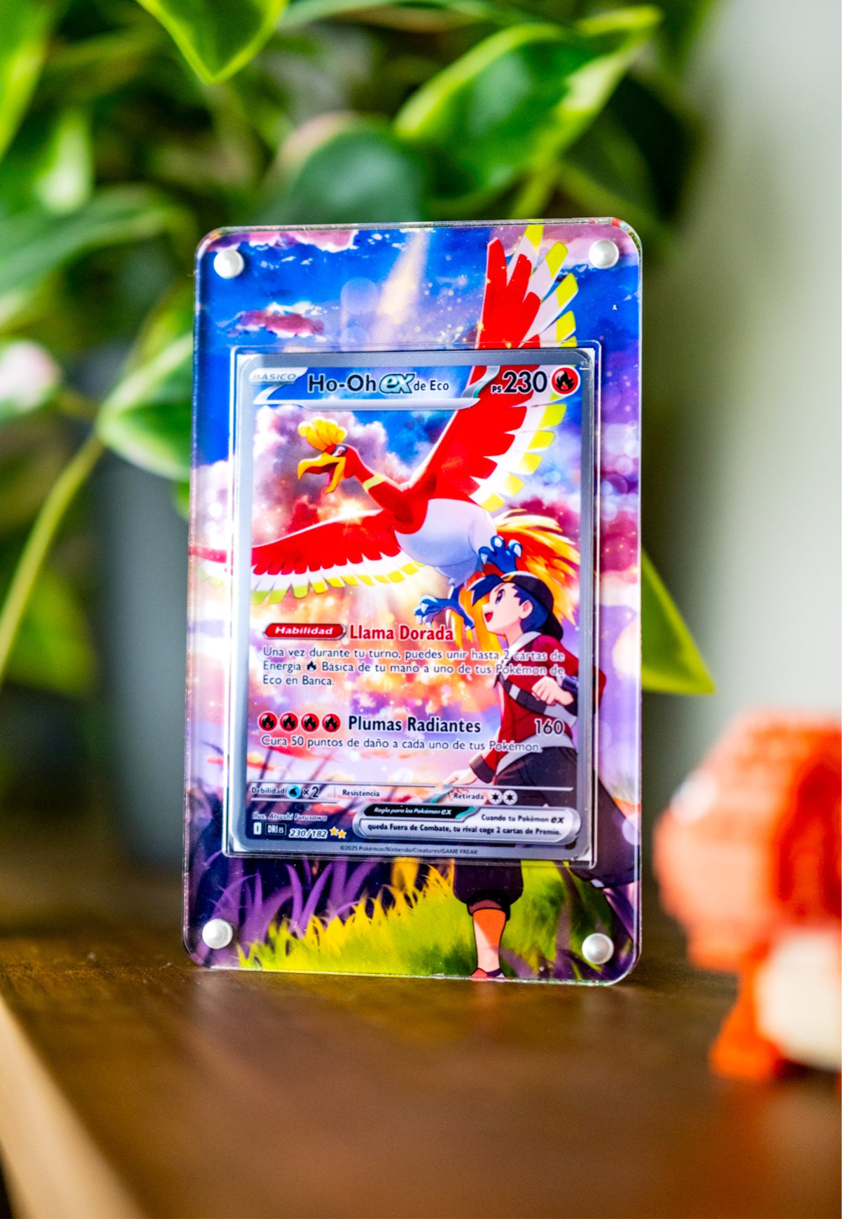 Ethan’s Ho-Oh ex SAR | Extended Art Display Case for Pokemon Heat Wave Arena Card