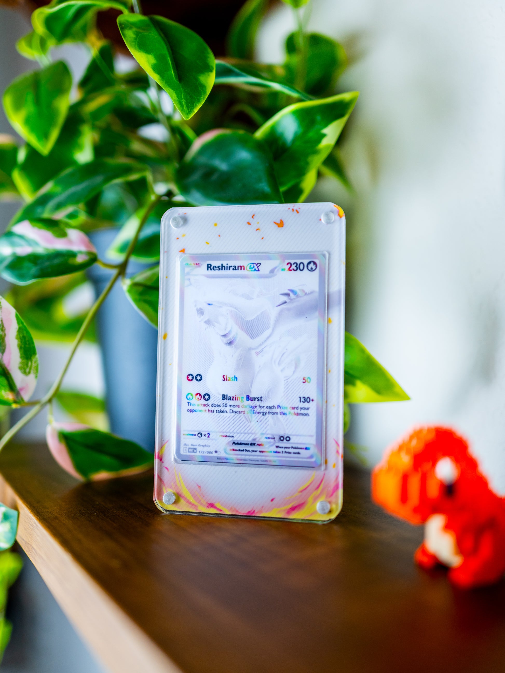 Reshiram ex BWR | Extended Art Display Case for Pokemon White Flare Card