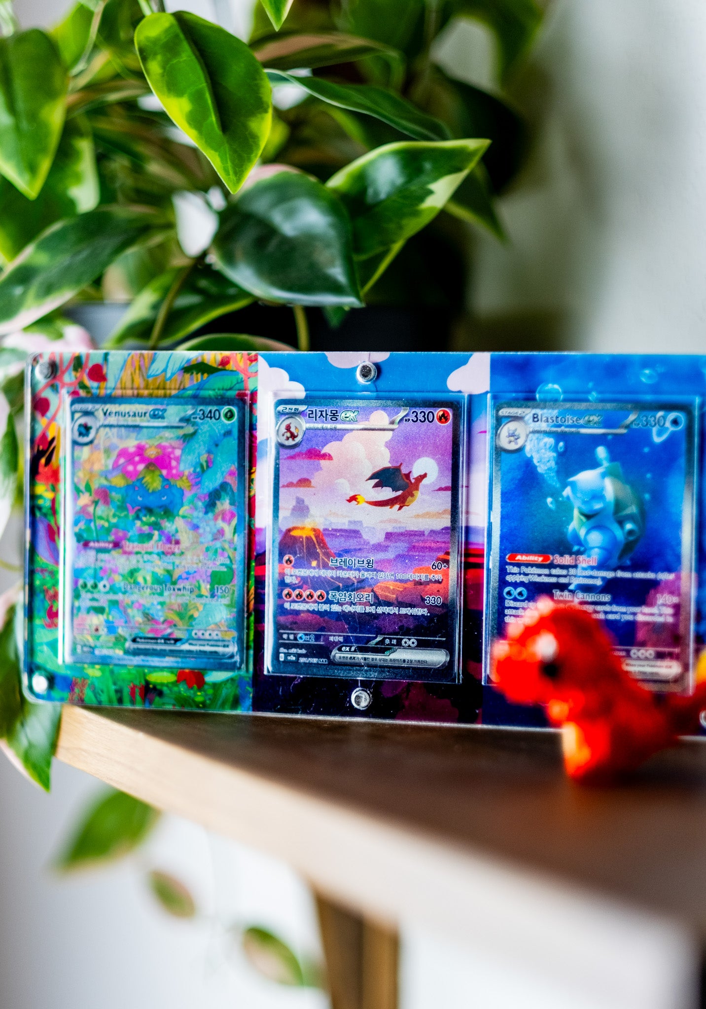 Charizard Blastoise Venusaur Pokemon 151 | Extended Art Display Case for Pokemon Card