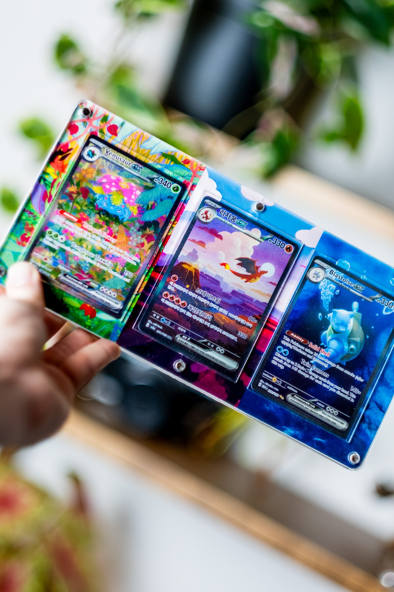 Charizard Blastoise Venusaur Pokemon 151 | Extended Art Display Case for Pokemon Card