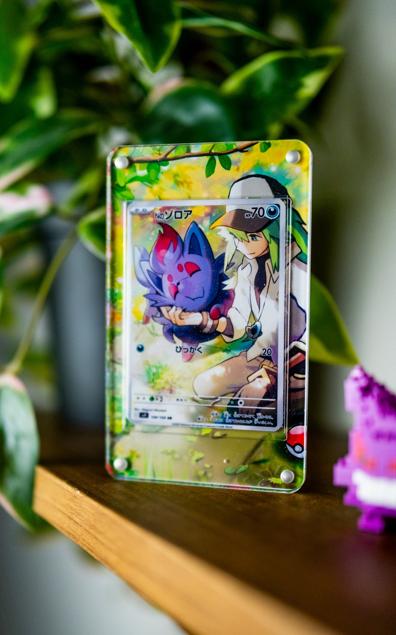 N’s Zorua Promo AR | Extended Art Display Case for Pokemon Journey Together Card