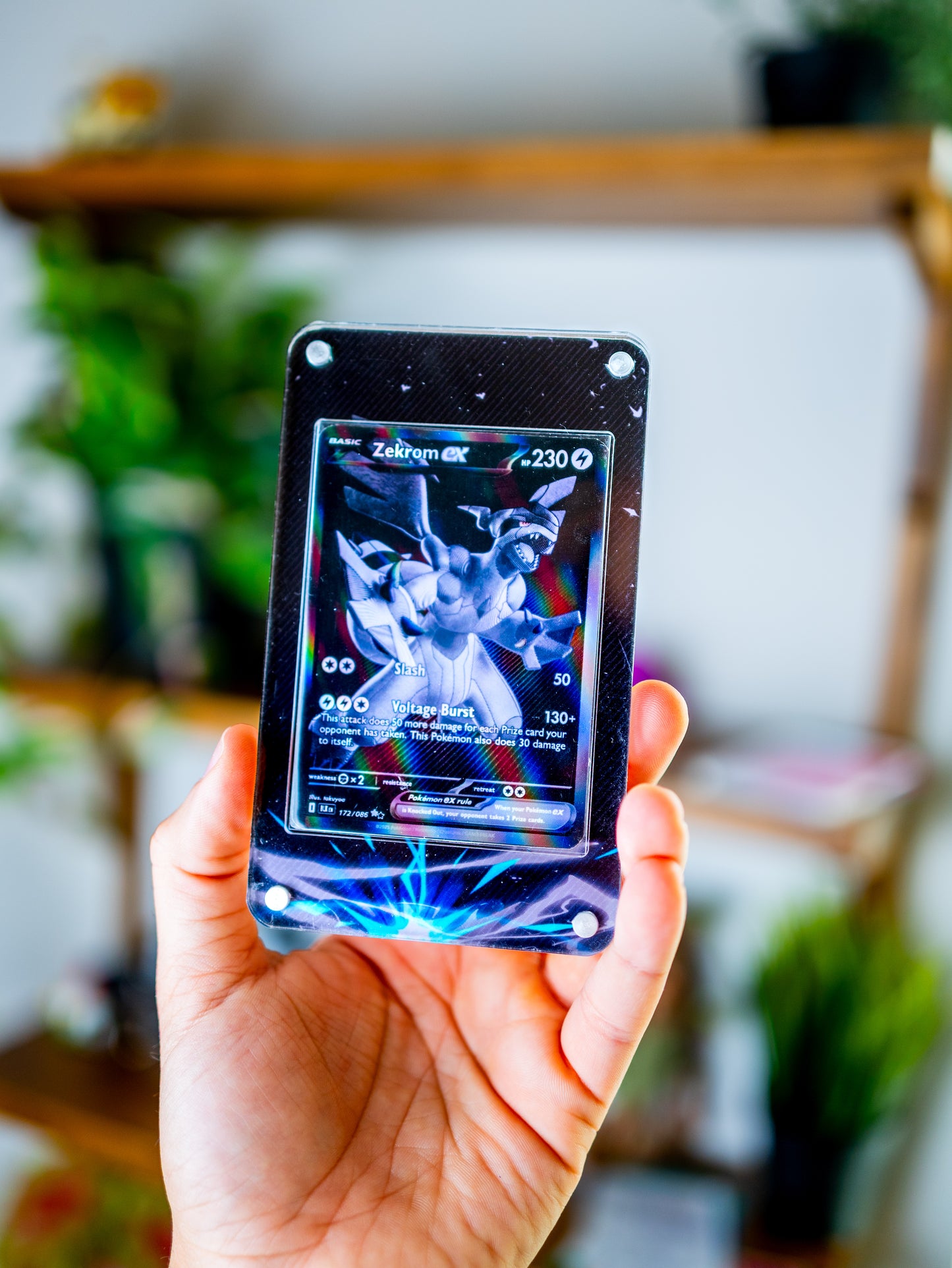 Zekrom ex BWR | Extended Art Display Case for Pokemon Black Bolt Card