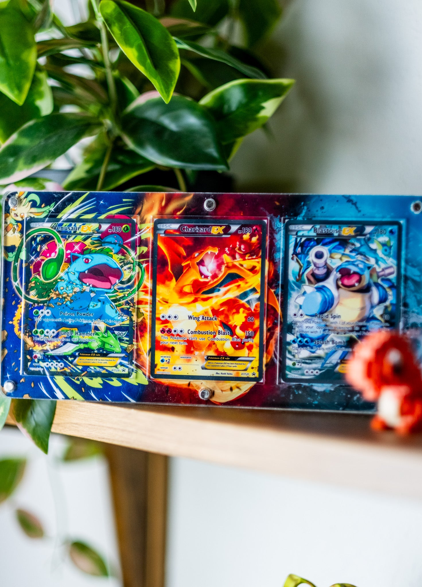 Charizard Blastoise Venusaur XY Promos | Extended Art Display Case for Pokemon Card