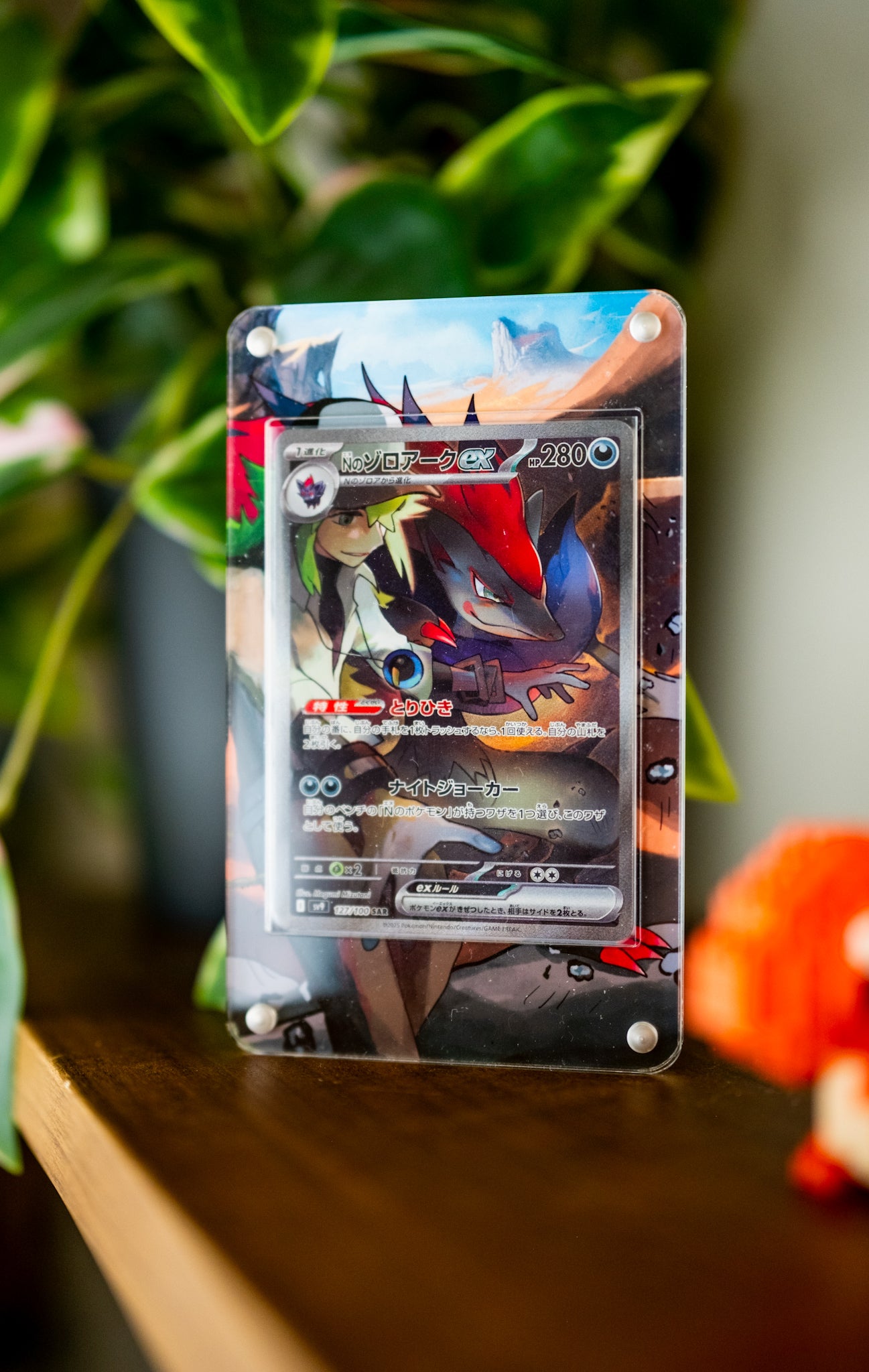 N’s Zoroark ex SAR | Extended Art Display Case for Pokemon Journey Together Card