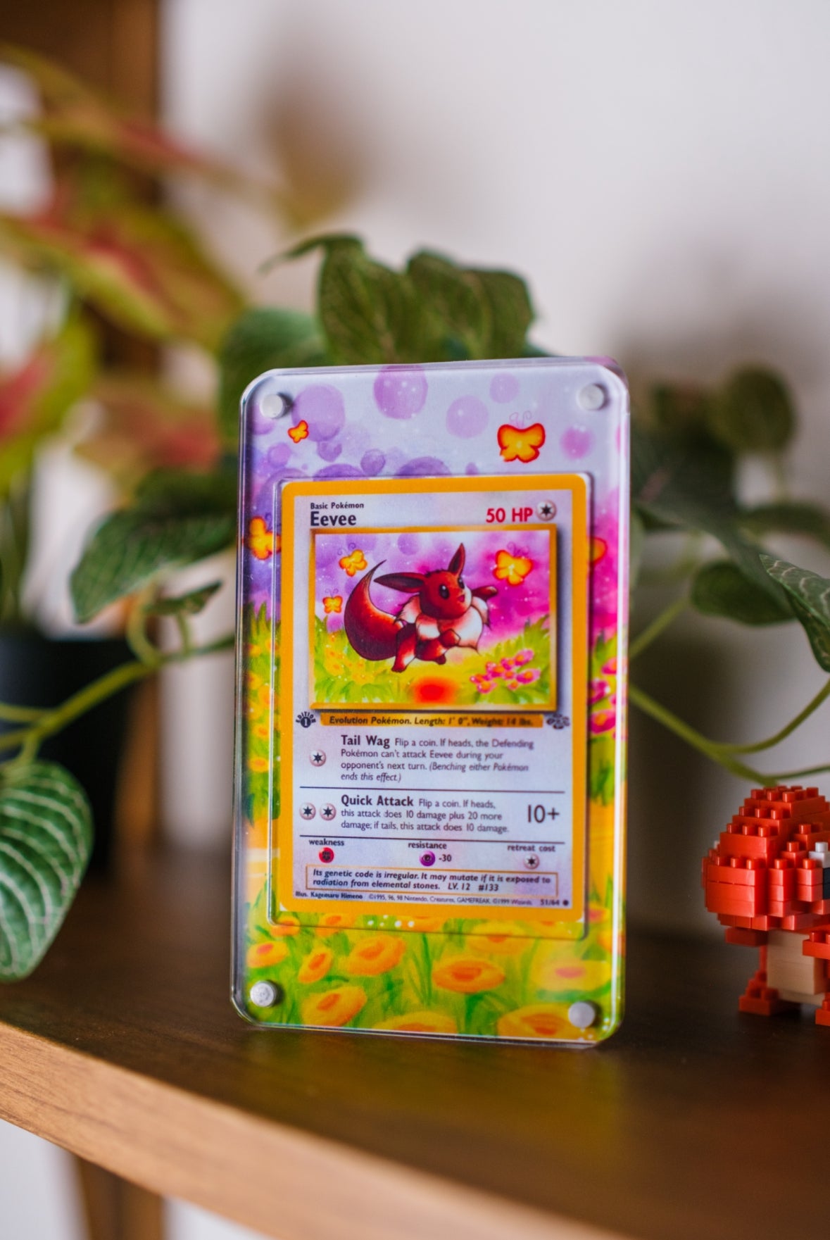 Eevee Jungle #51 | Card Display Case Extended Art for Pokemon Card