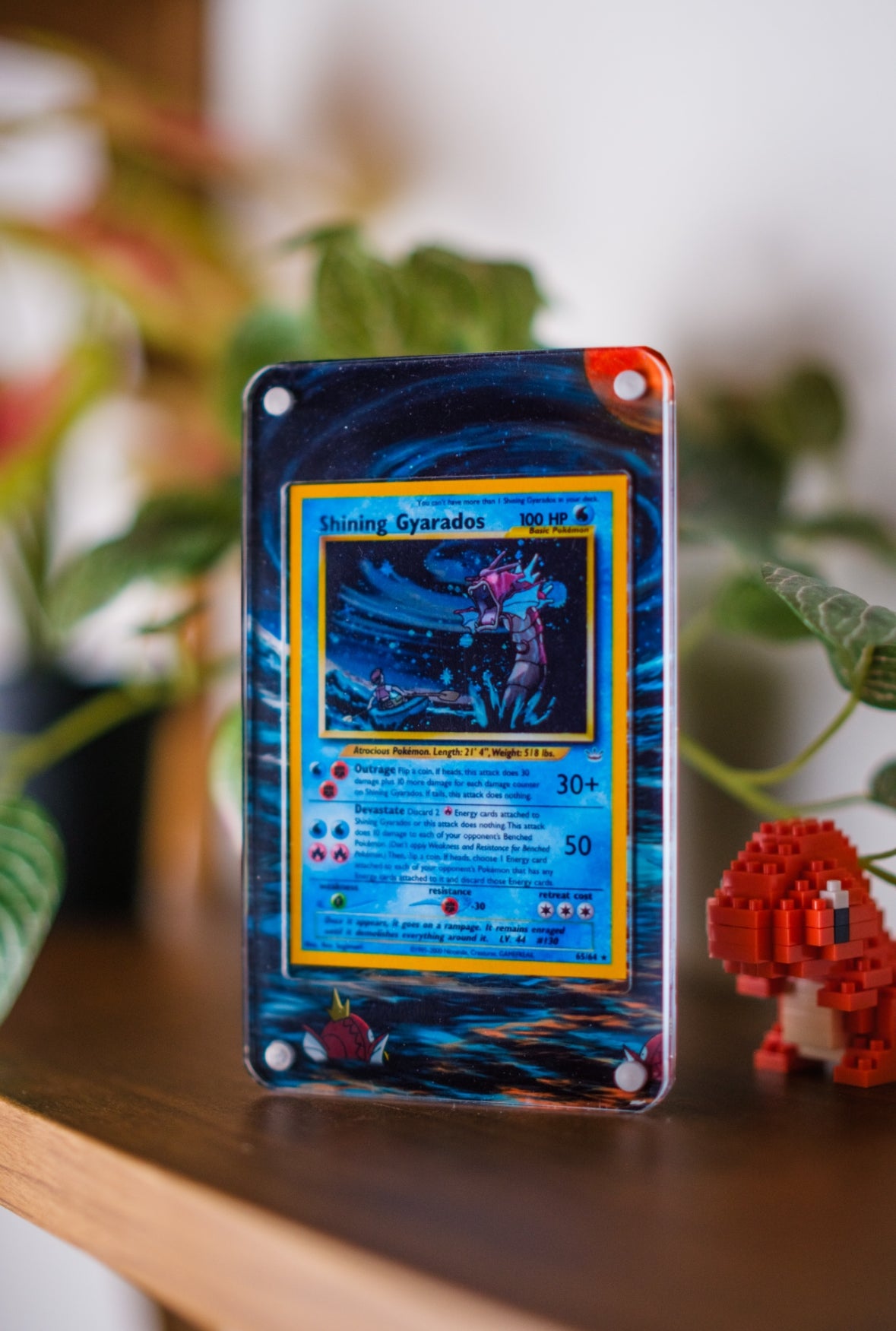 Shining Gyarados Extended Art Custom Pokemon Card Display Case