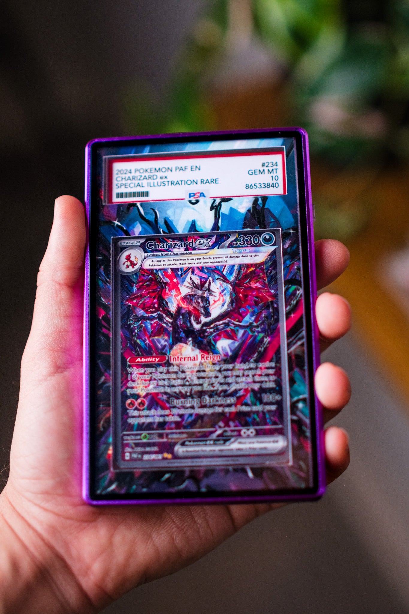 Charizard ex SIR | PSA CGC Beckett Display Case Extended Art for Pokemon Card