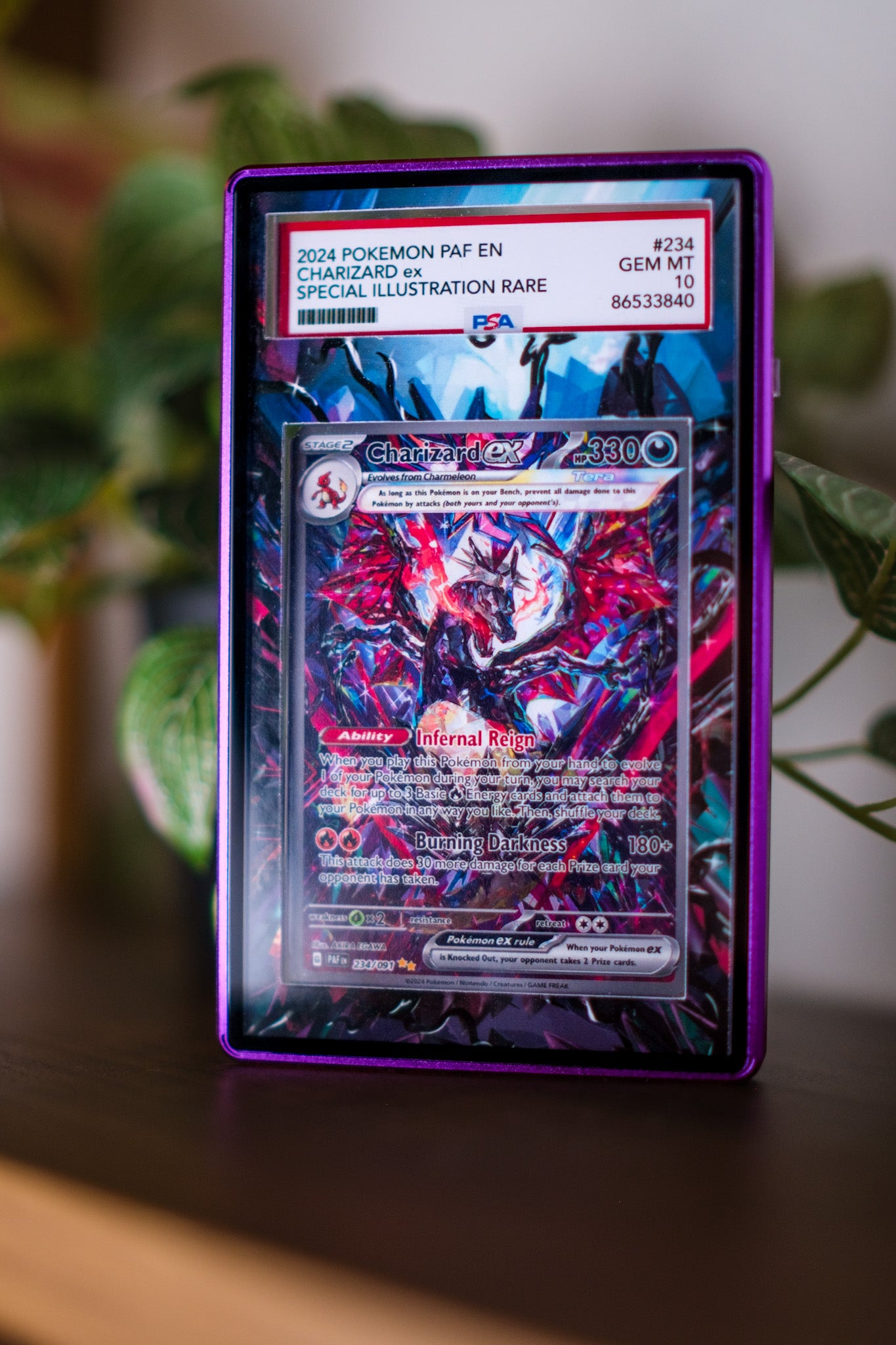 Charizard ex SIR | PSA CGC Beckett Display Case Extended Art for Pokemon Card