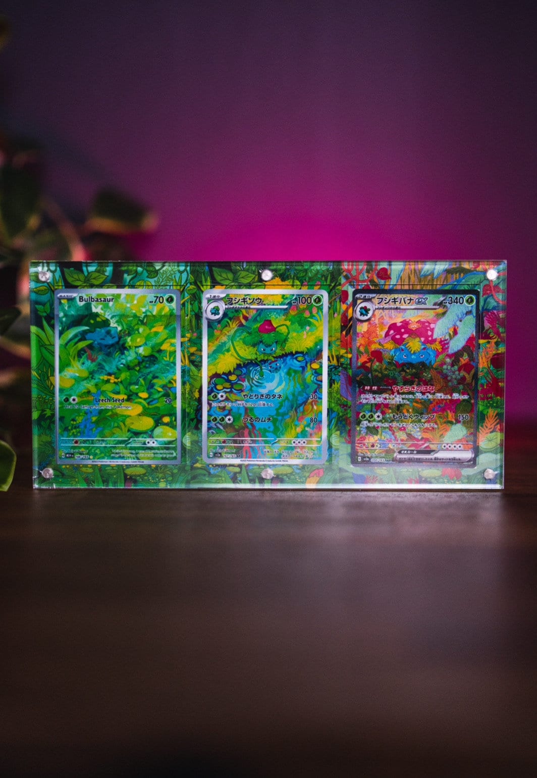 Bulbasaur Ivysaur Venusaur ex 151 | Card Display Case Extended Art for Pokemon Card