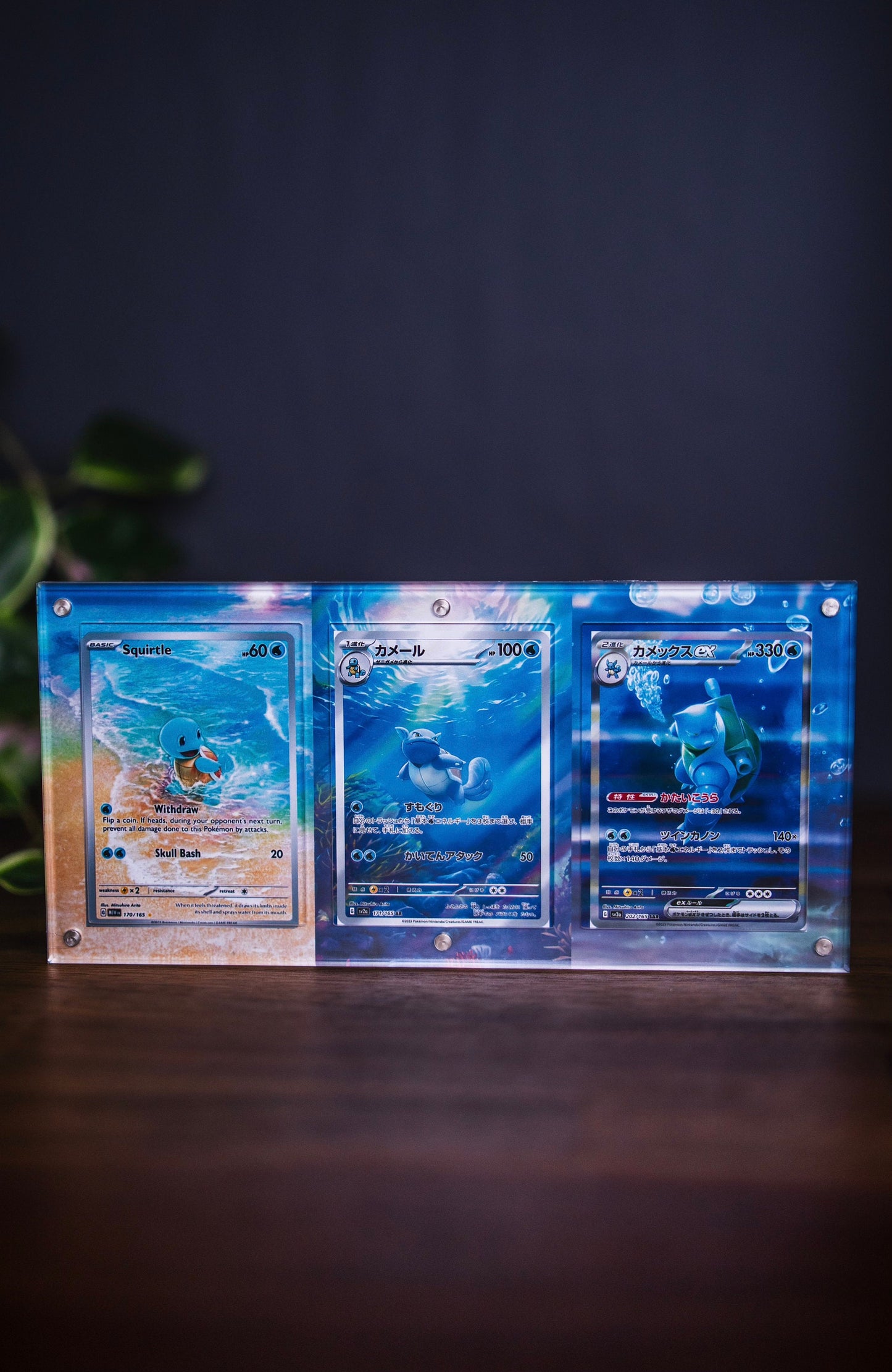 Squirtle Wartortle Blastoise ex | Card Display Case Extended Art for Pokemon Card