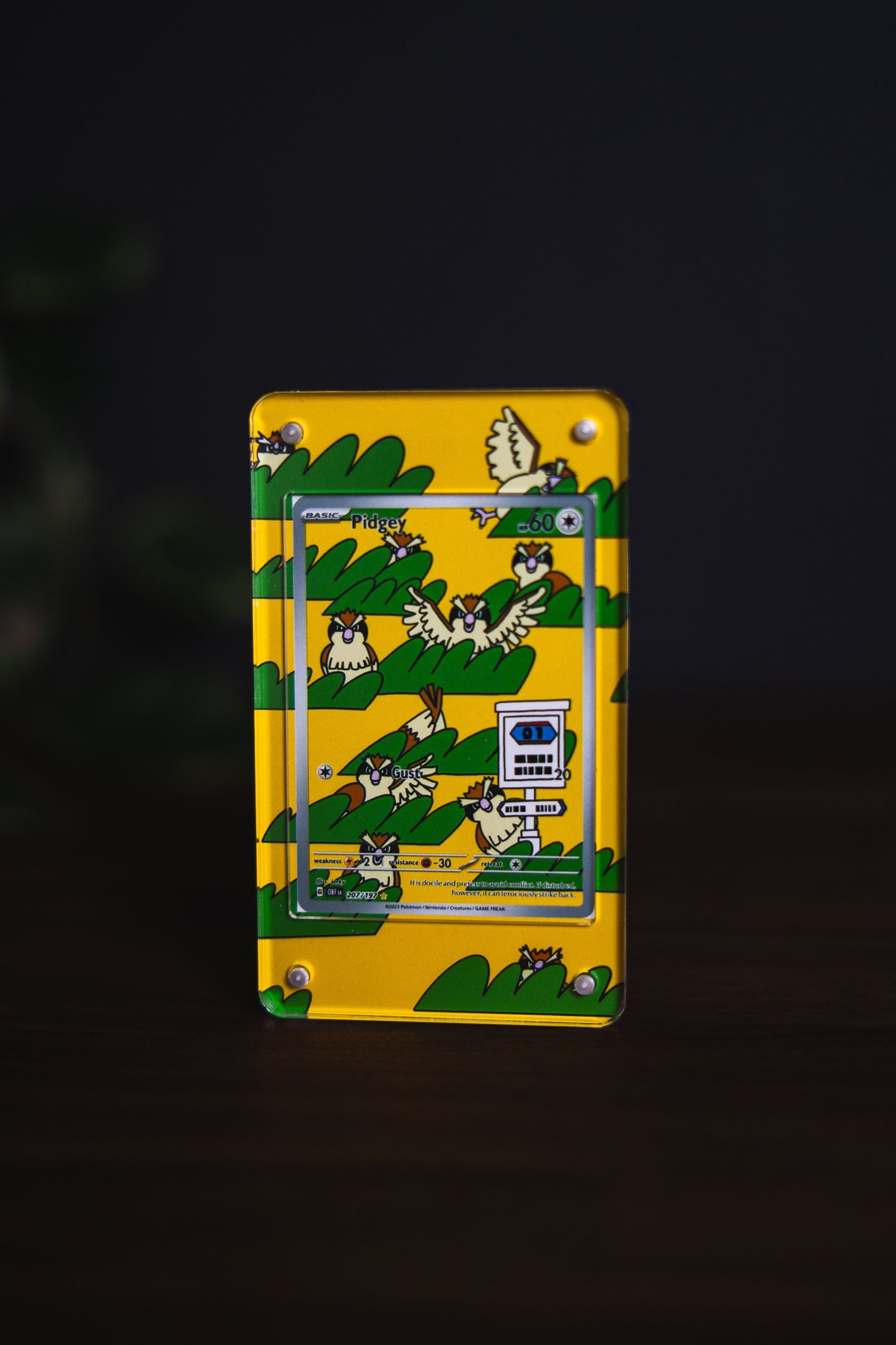 Pidgey AR | Card Display Case Extended Art for Pokemon Card
