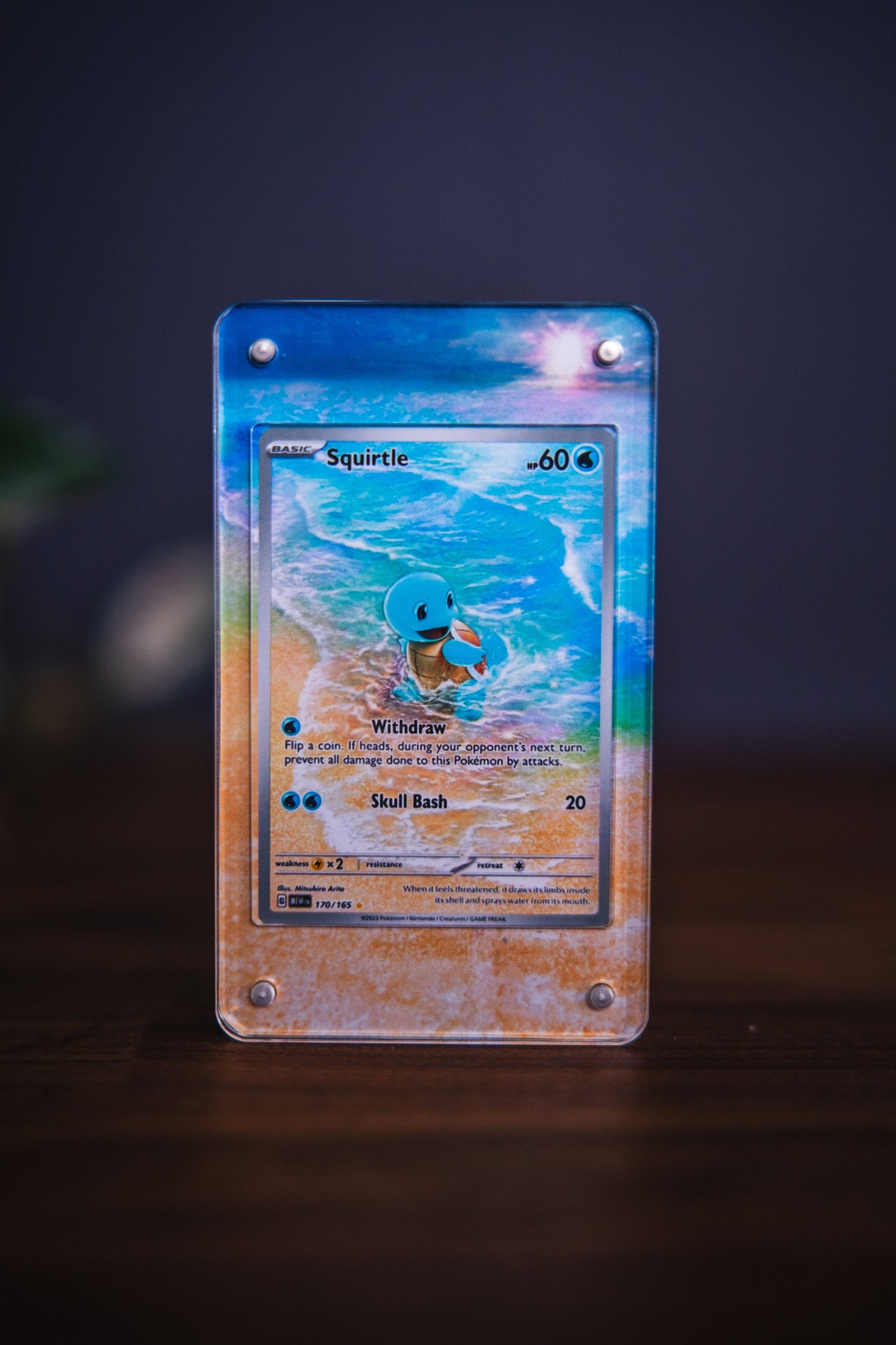 Squirtle Illustration Rare | Card Display Case Extended Art for Pokemon Card