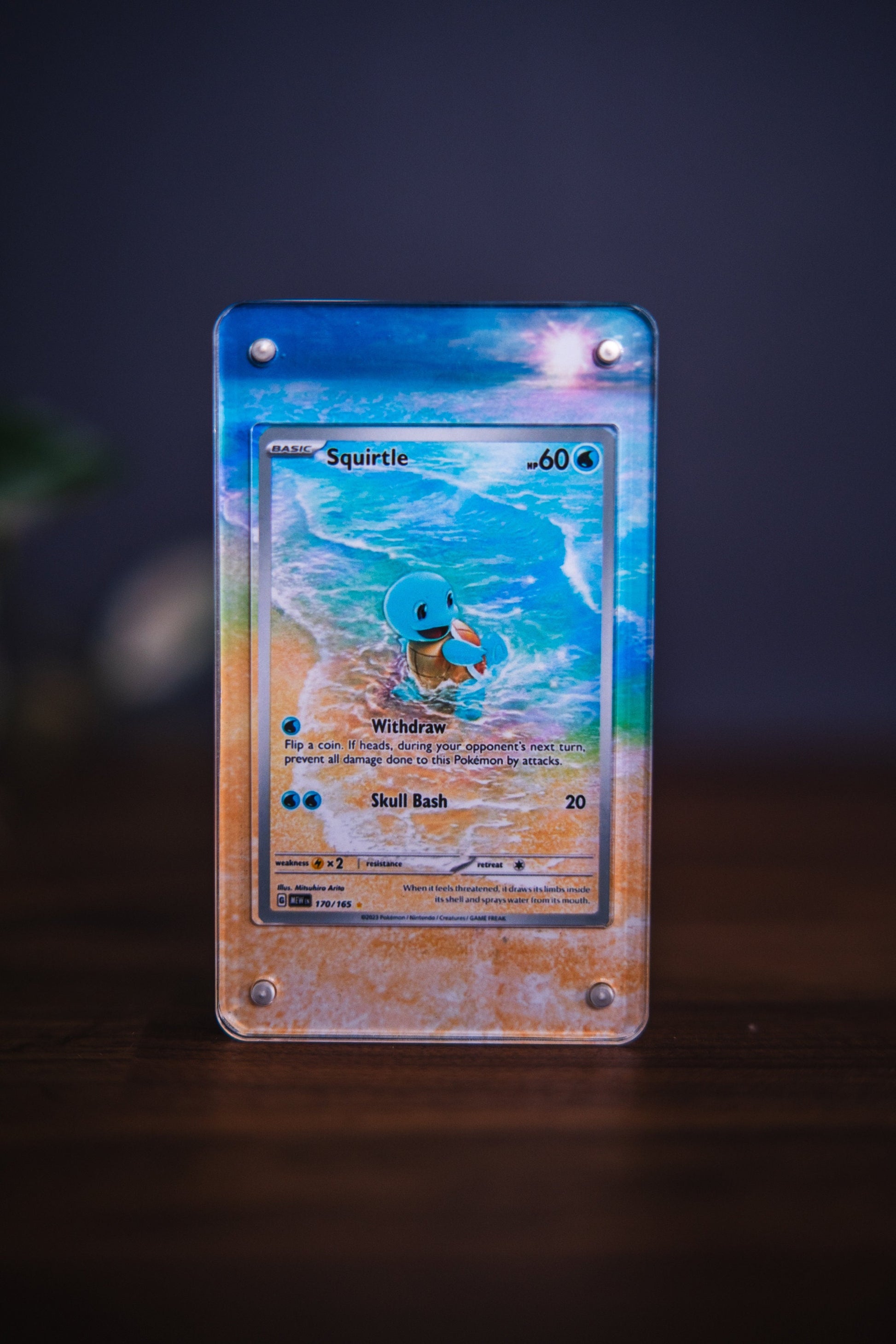 Squirtle Illustration Rare | Card Display Case Extended Art for Pokemon Card
