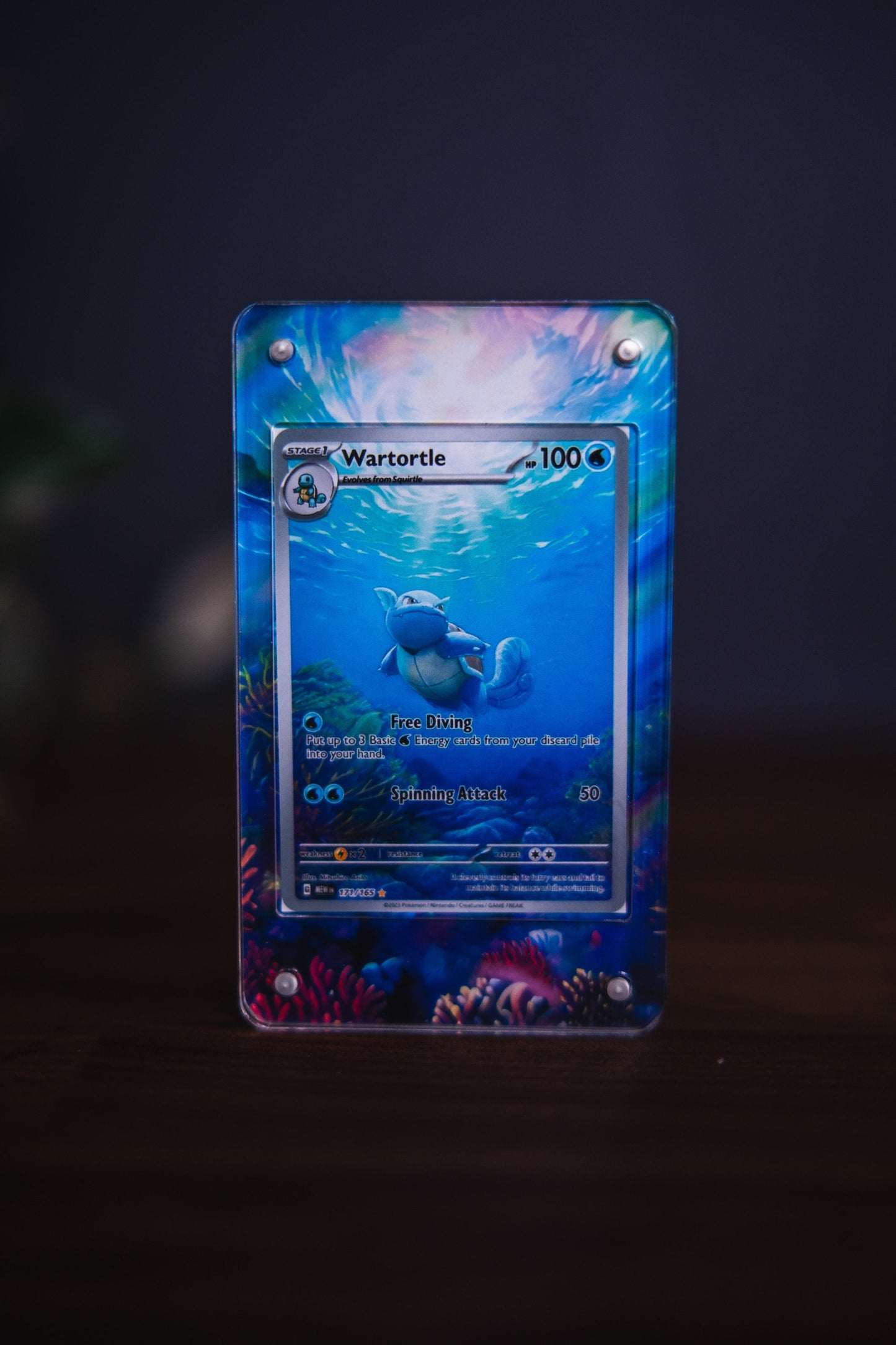 Wartortle Illustration Rare 151 | Card Display Case Extended Art for Pokemon Card