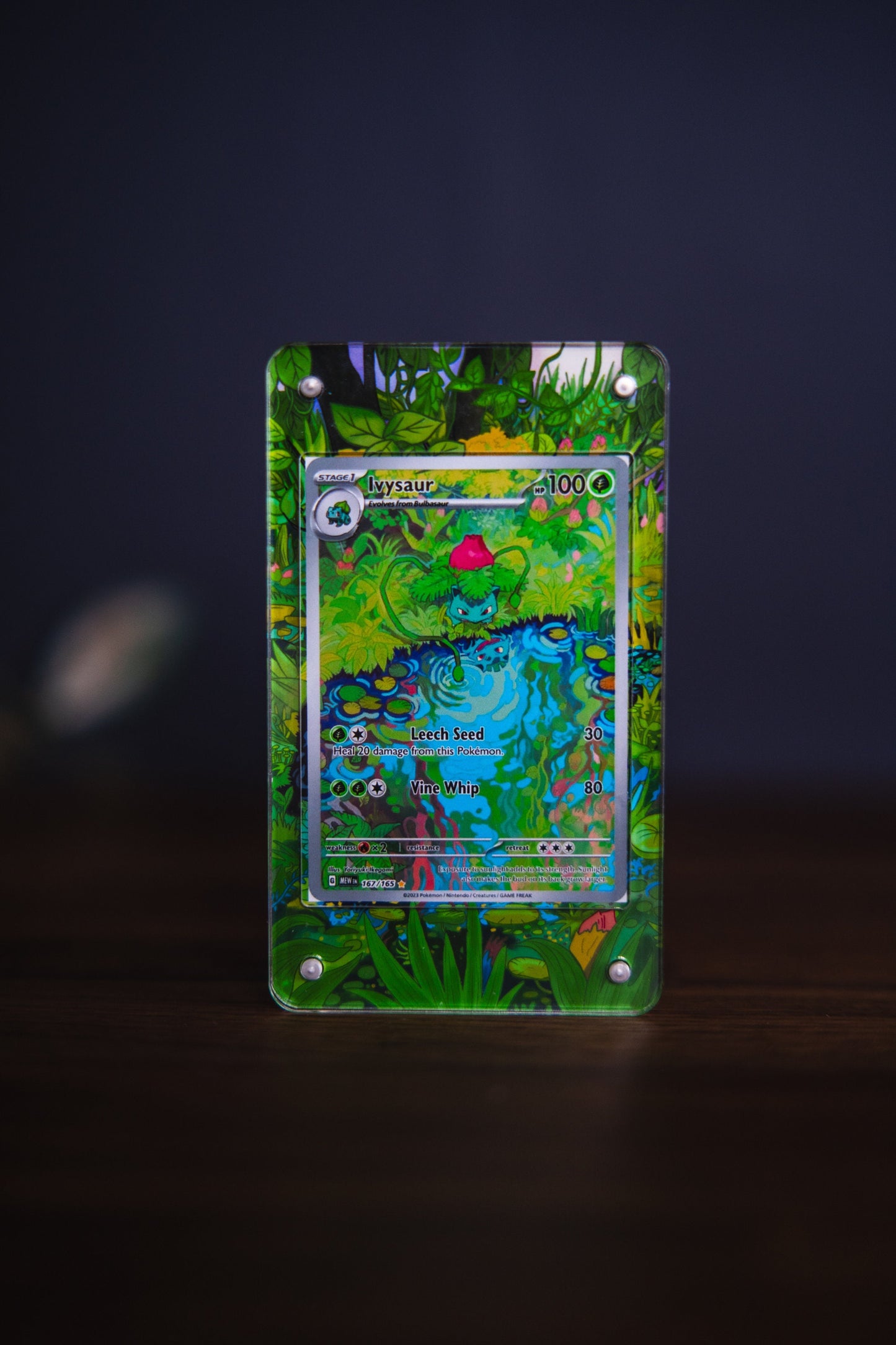 Ivysaur 151 Illustration Rare | Card Display Case Extended Art for Pokemon Card