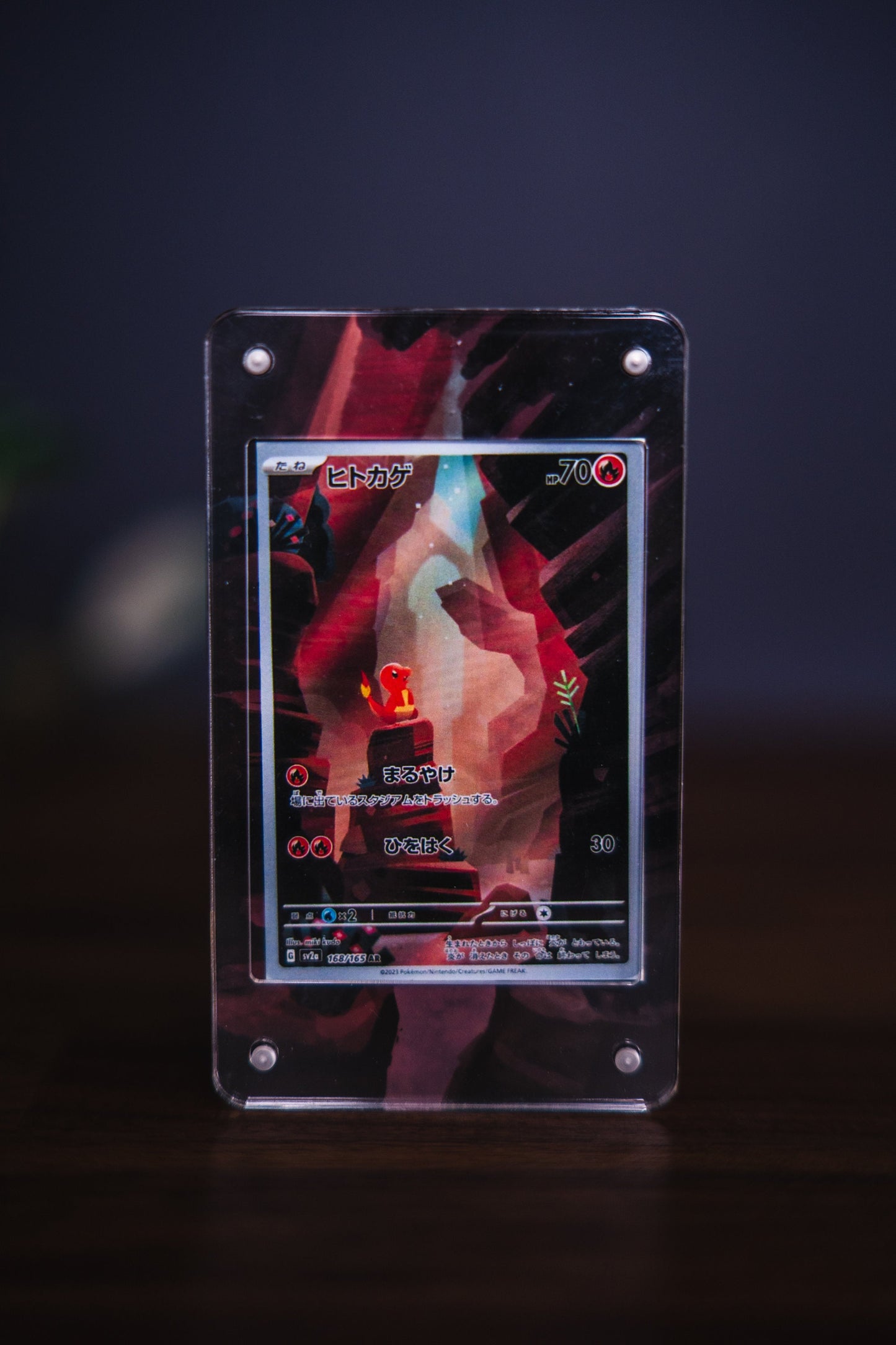Charmander 151 Illustration Rare | Card Display Case Extended Art for Pokemon Card