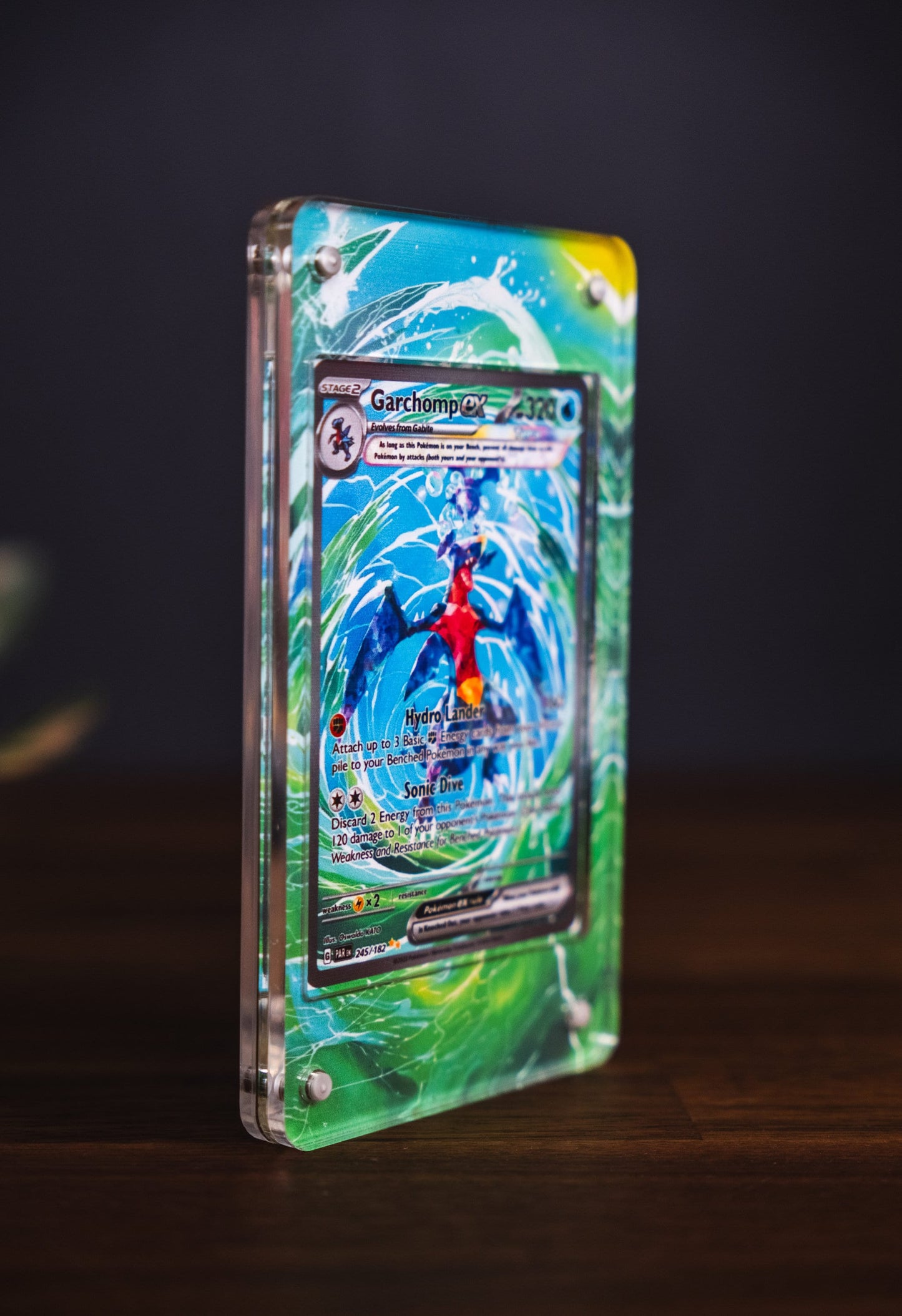 Garchomp ex SIR | Card Display Case Extended Art for Pokemon Card