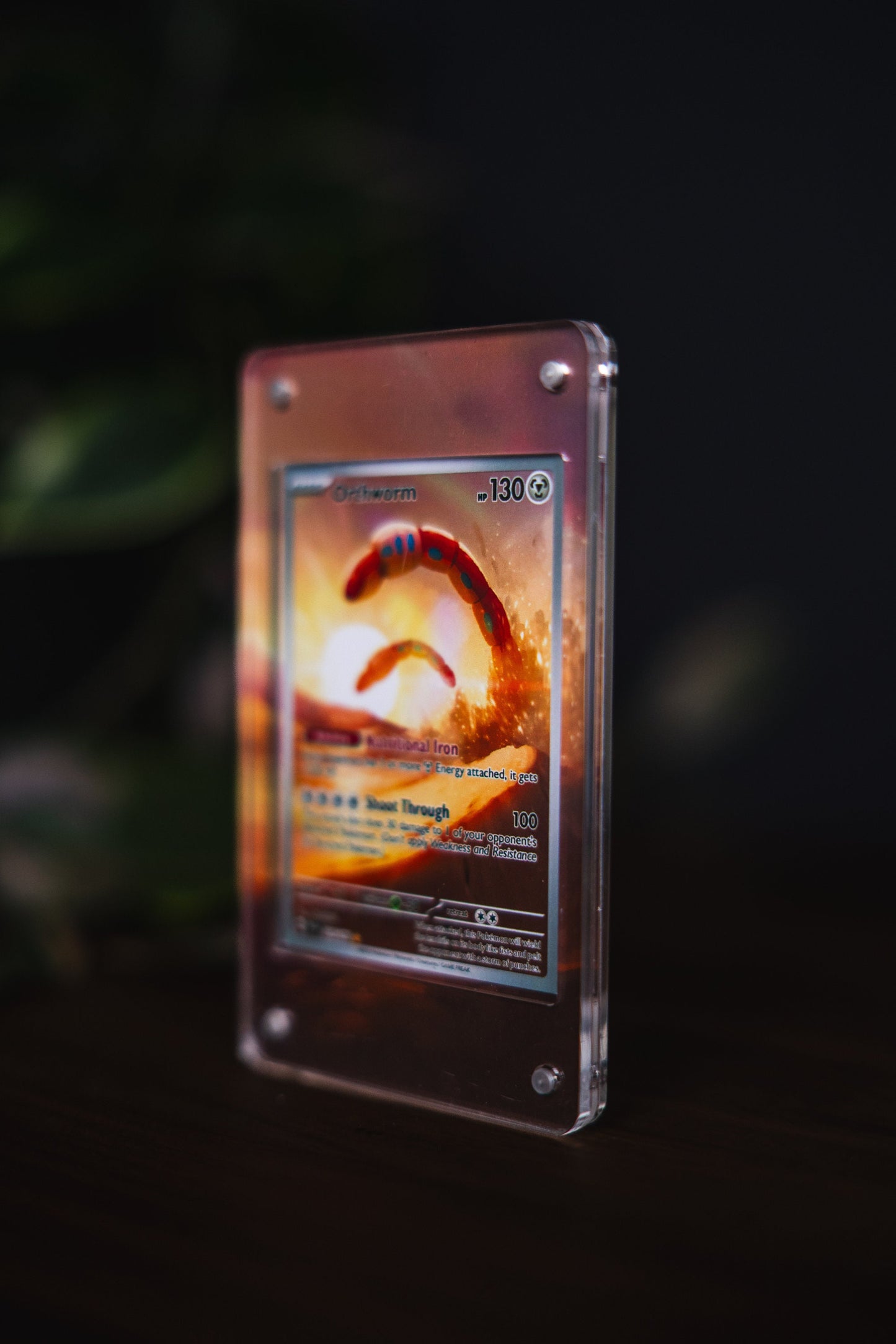 Orthworm IR | Card Display Case Extended Art for Pokemon Card