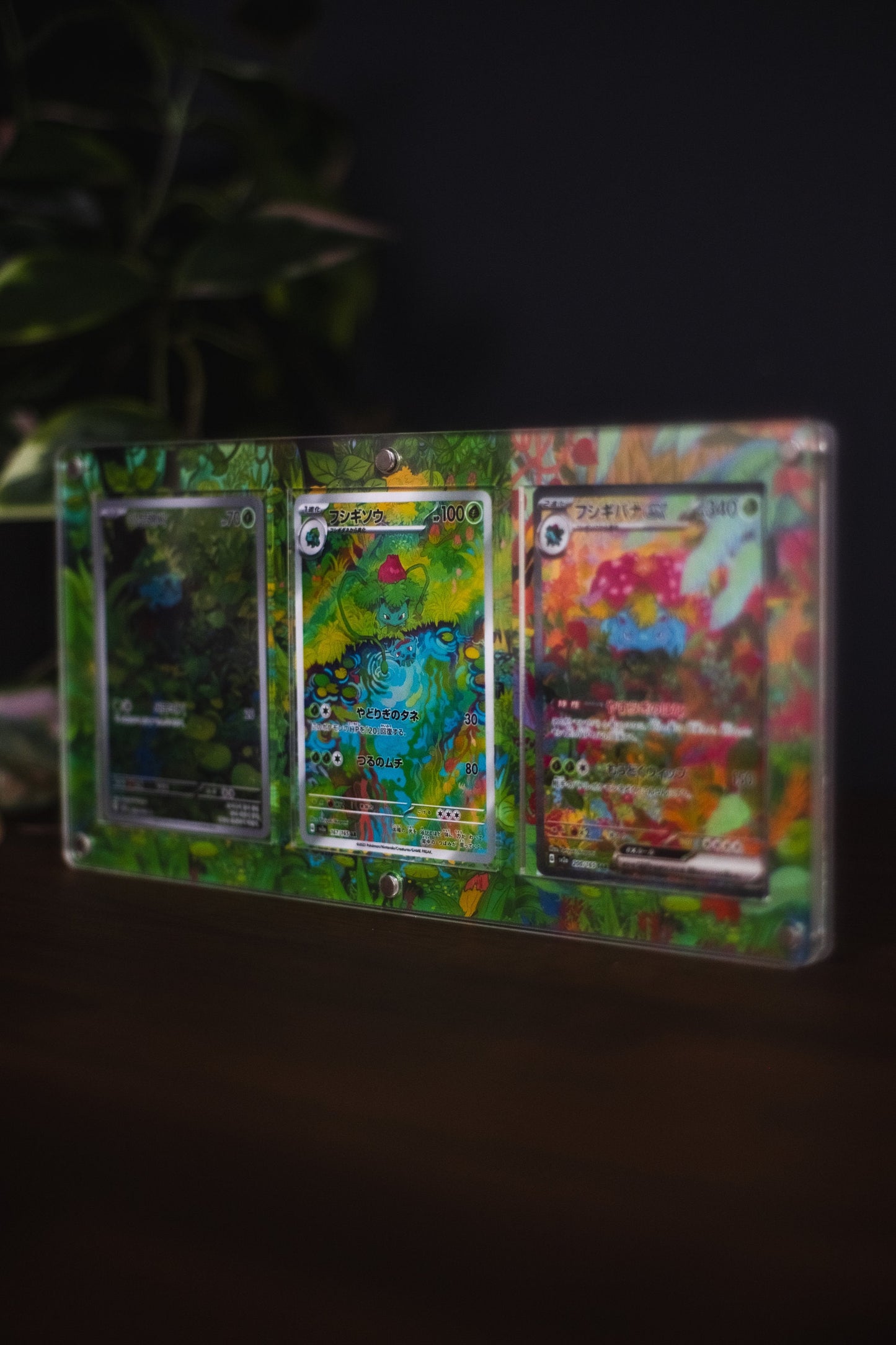 Bulbasaur Ivysaur Venusaur ex 151 | Card Display Case Extended Art for Pokemon Card