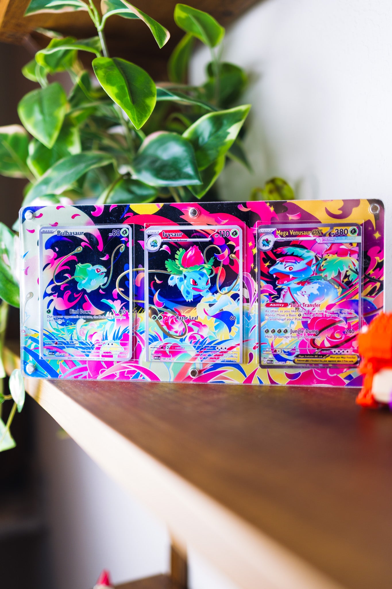 Bulbasaur Ivysaur Mega Venusaur ex | Extended Art Display Case for Pokemon Card