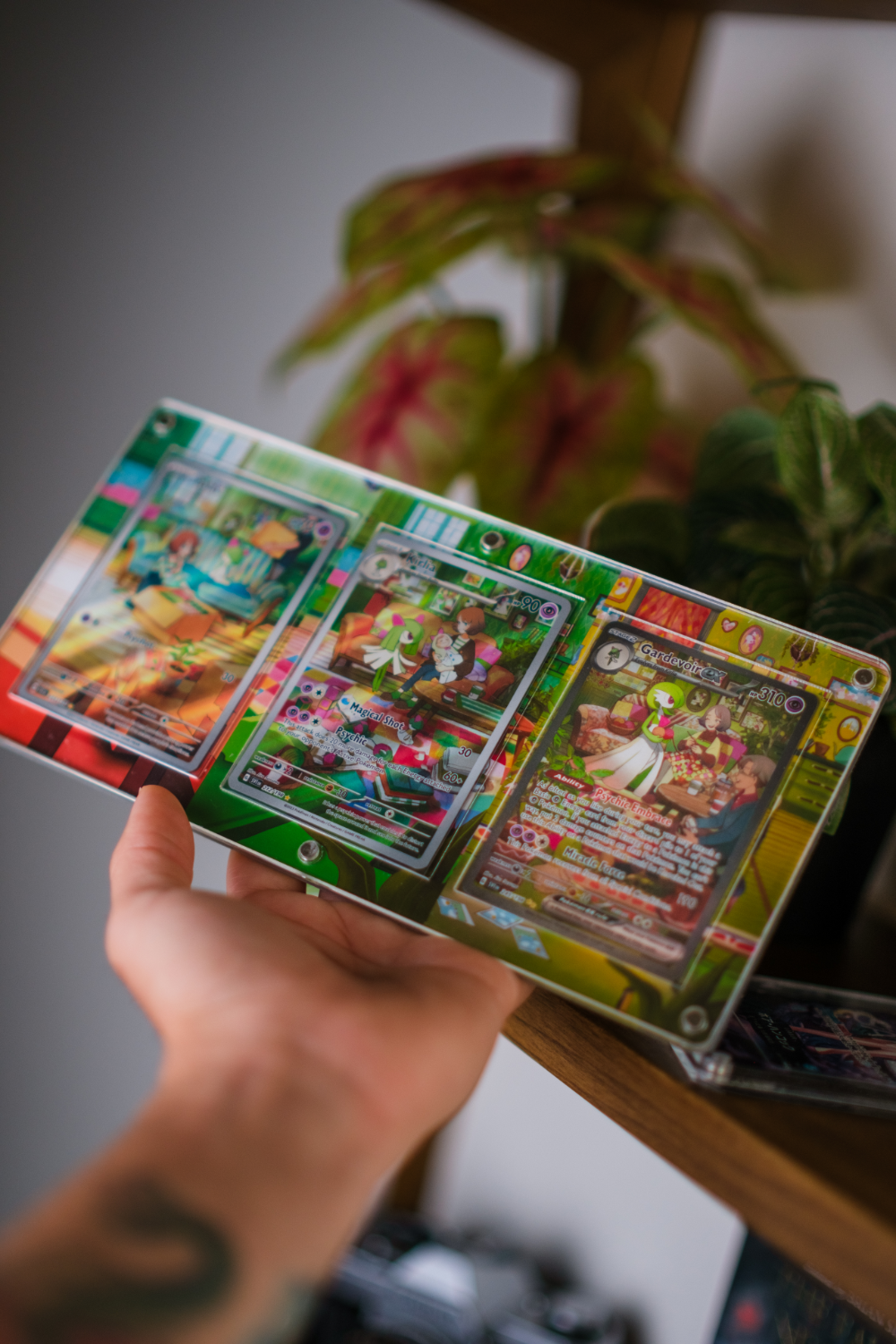 Gardevoir Ralts Kirlia ex | Card Display Case Extended Art for Pokemon Card