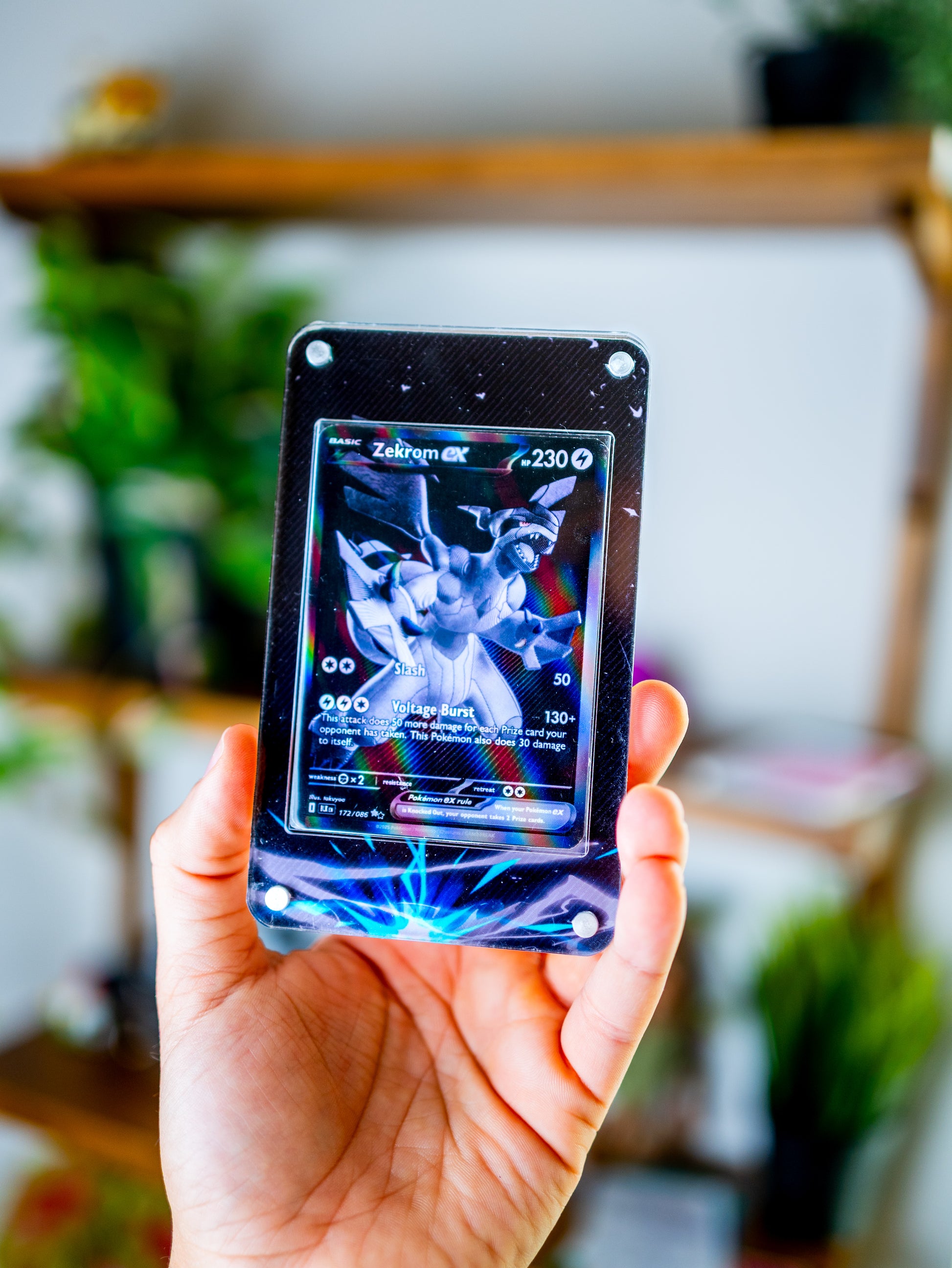 Zekrom ex BWR | Extended Art Display Case for Pokemon Heat Wave Arena Card