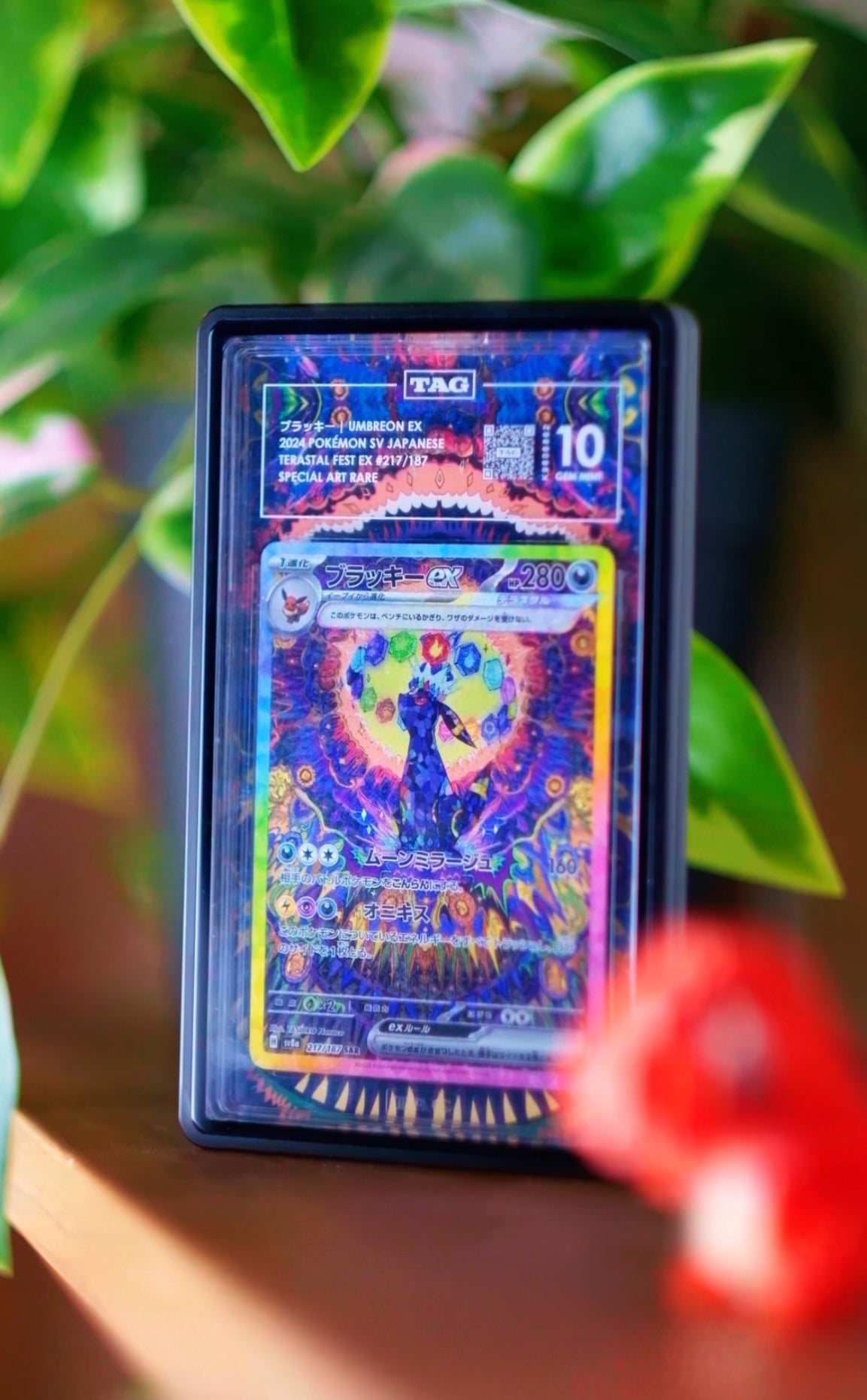Umbreon ex SAR PSA CGC Beckett | Extended Art Display Case for Pokémon TCG