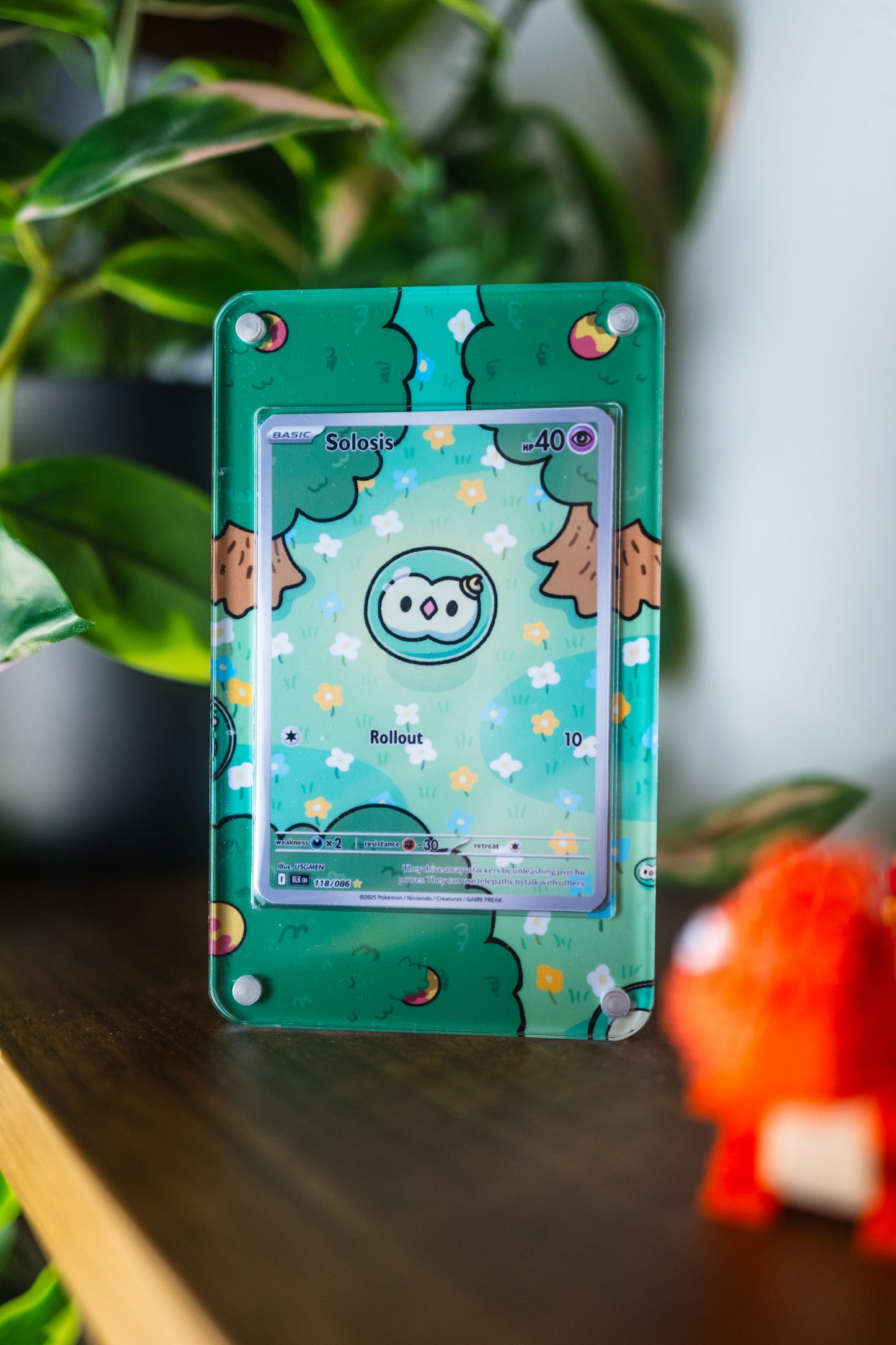 Solosis IR | Extended Art Display Case for Pokemon Card