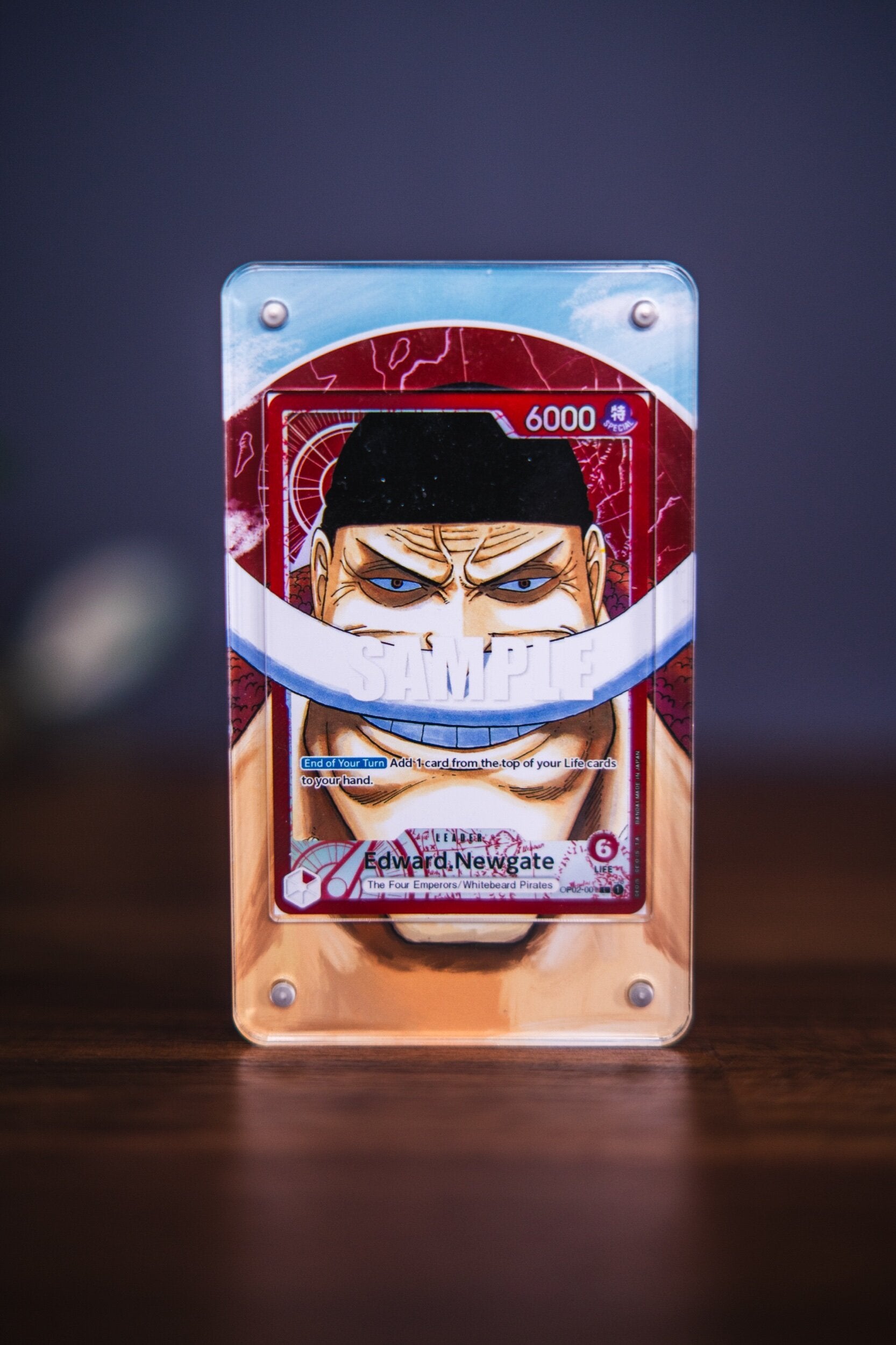 Edward Newgate 001 Alt Art | Display Case Extended Art for One Piece Card