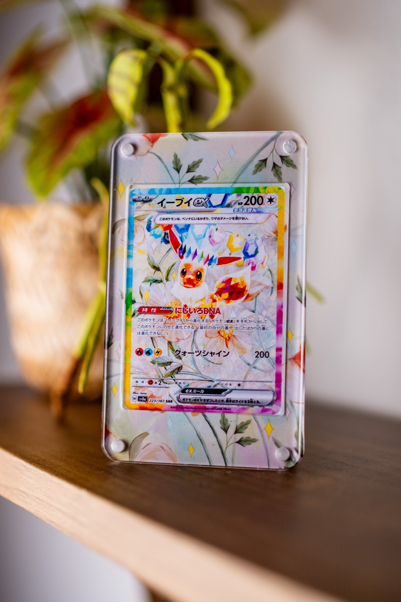 Eevee ex SAR | Display Case Extended Art for Pokemon Card