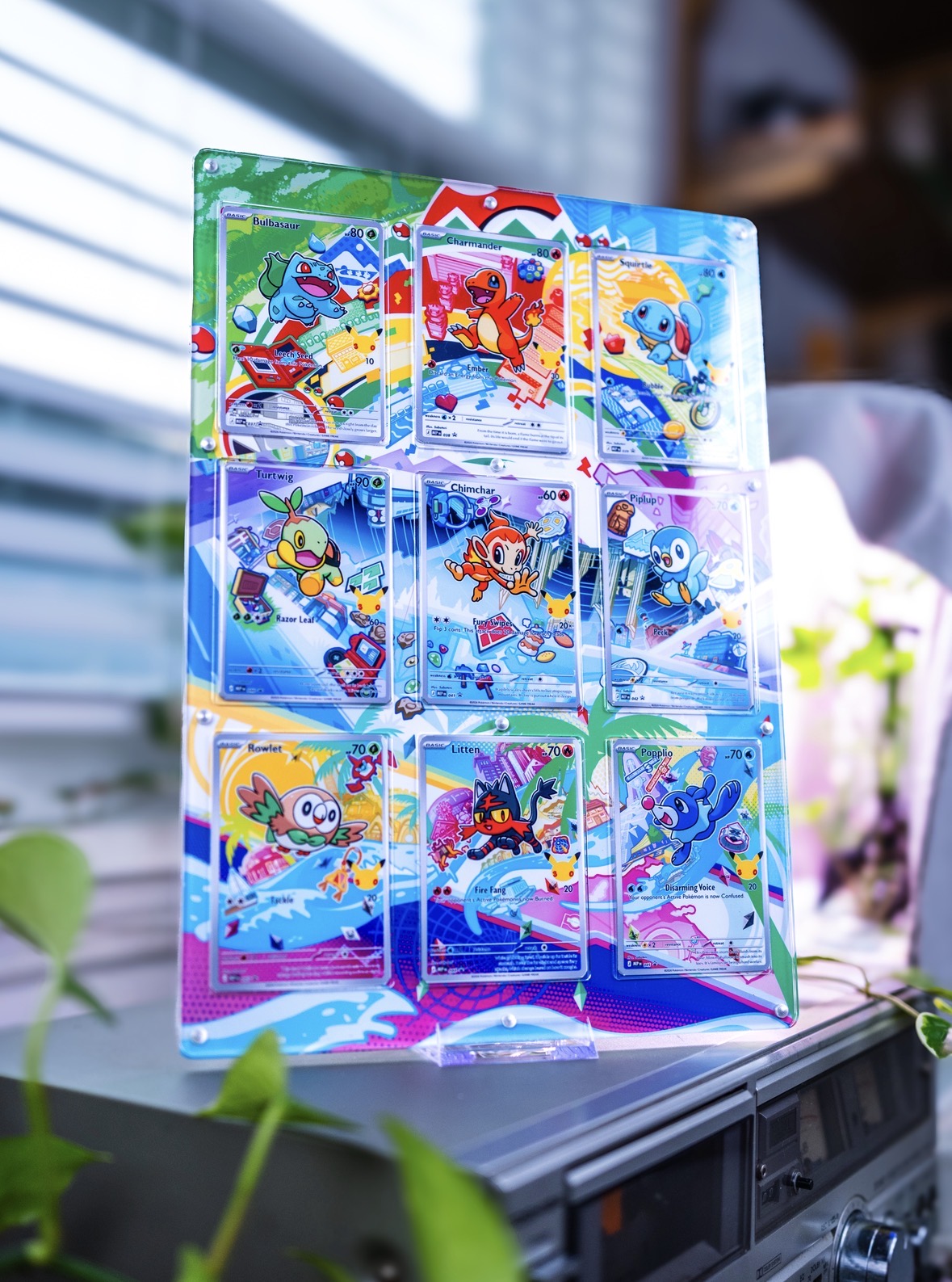 First Partner Illustration Collection Series 1 | Extended Art Display Case Pokemon Card