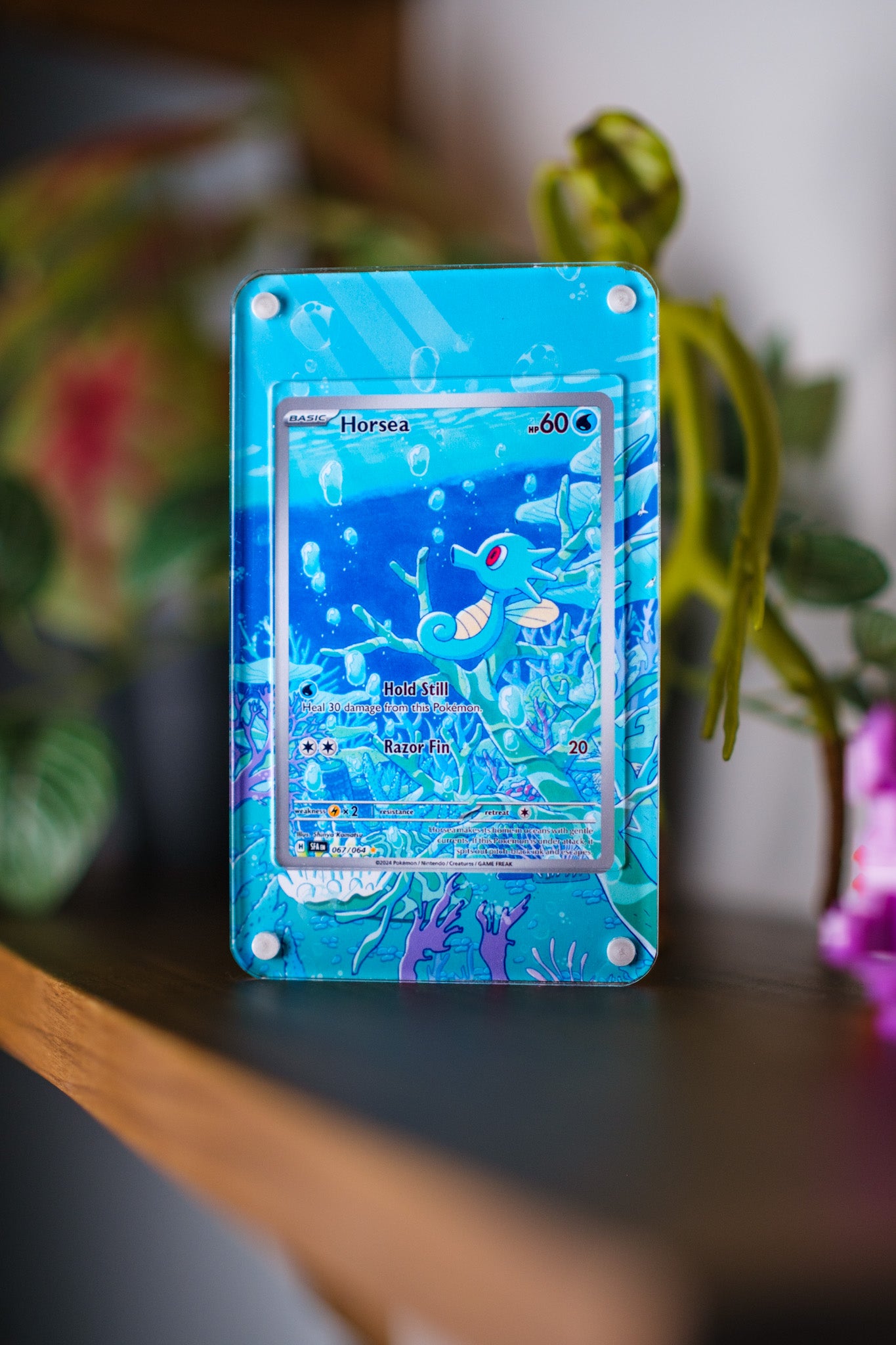 Horsea IR | Extended Art Display Case for Pokémon Card