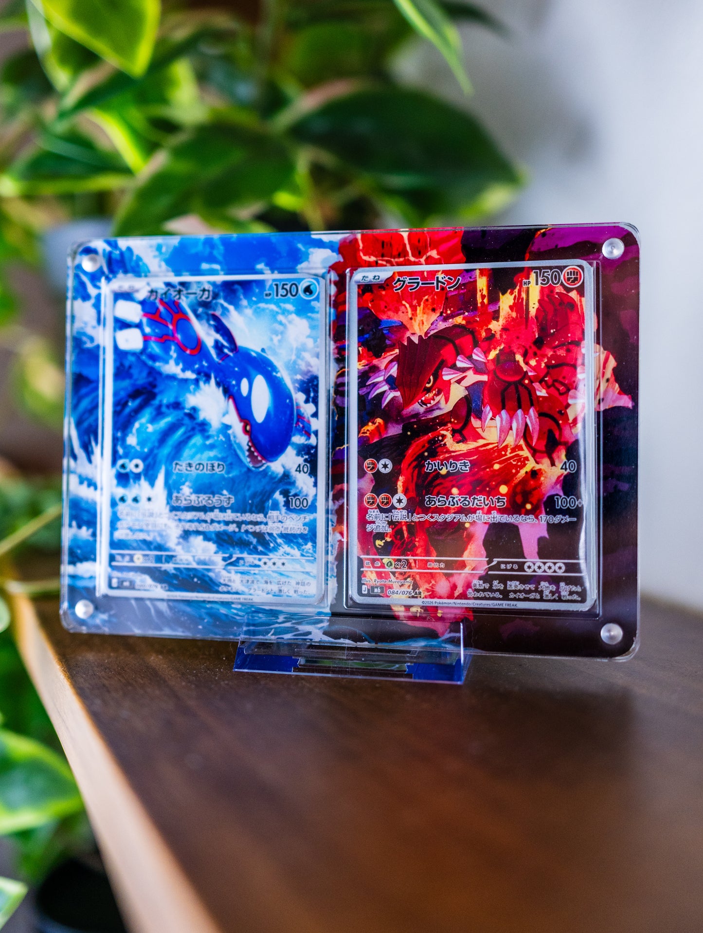 Kyogre & Groudon AR | Pokemon Card Extended Art Display Case