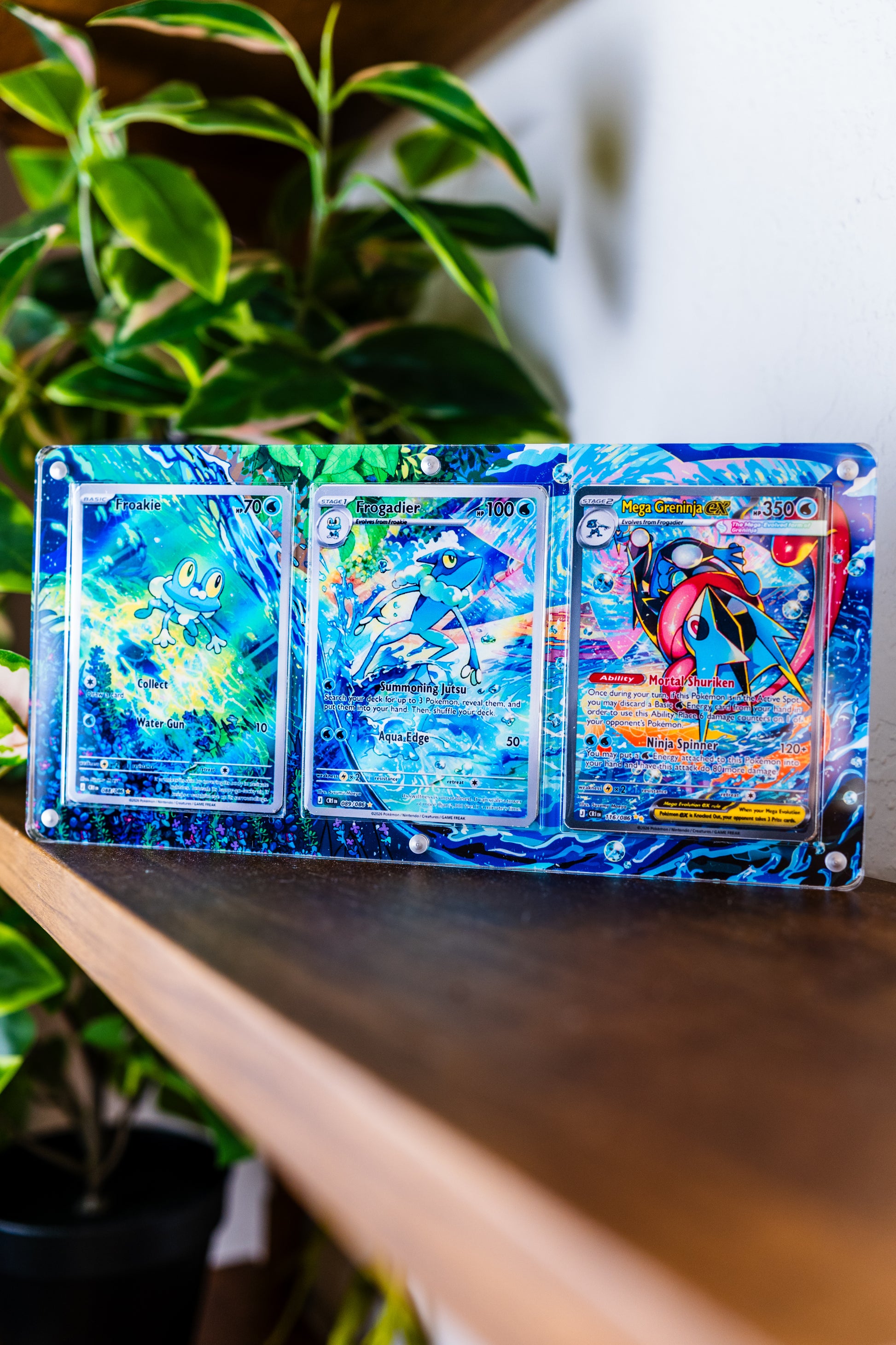 Froakie Frogadier Mega Greninja ex SAR | Pokemon Extended Art Display Case