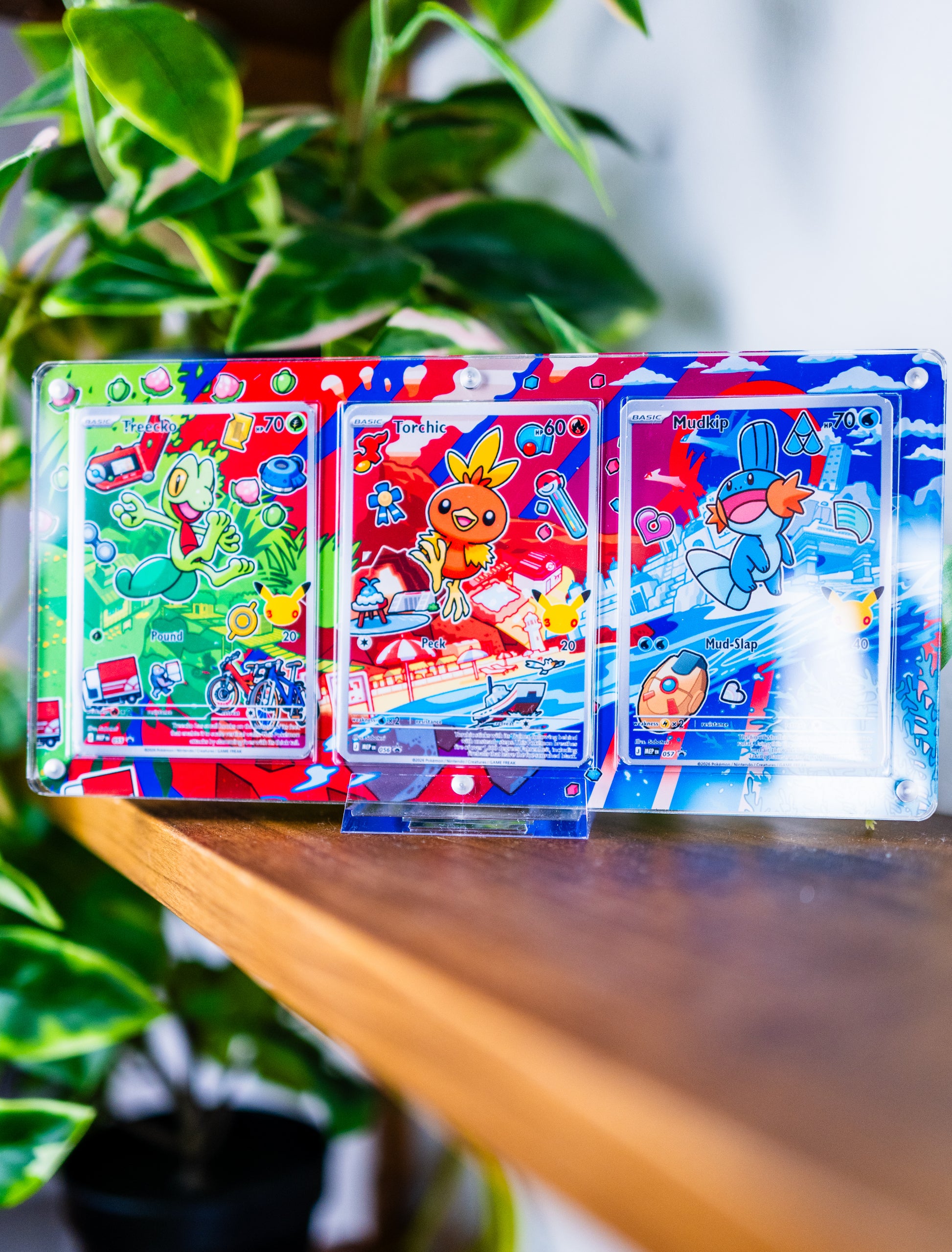 Treecko Torchic Mudkip First Partner Illustration Series 3 | Extended Art Display Case
