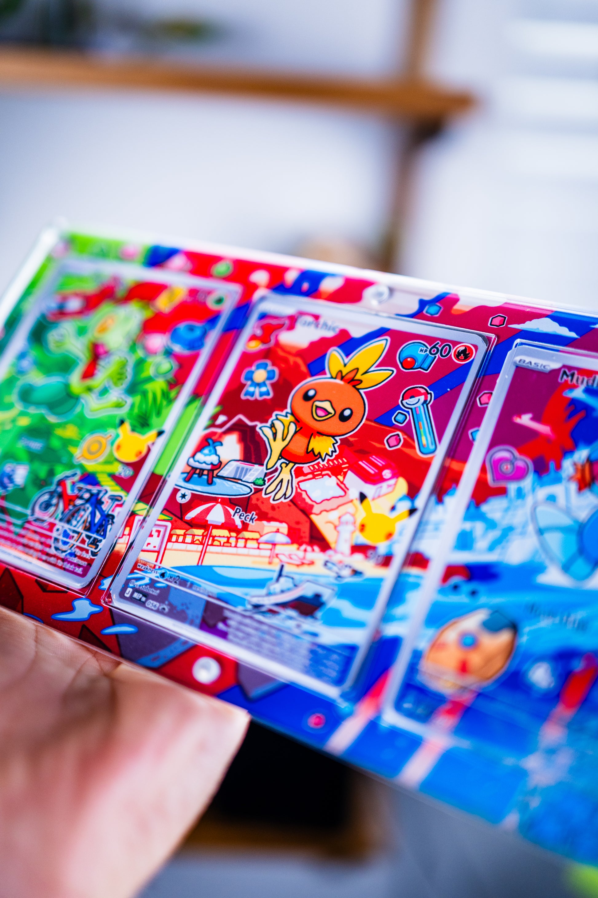 Treecko Torchic Mudkip First Partner Illustration Series 3 | Extended Art Display Case