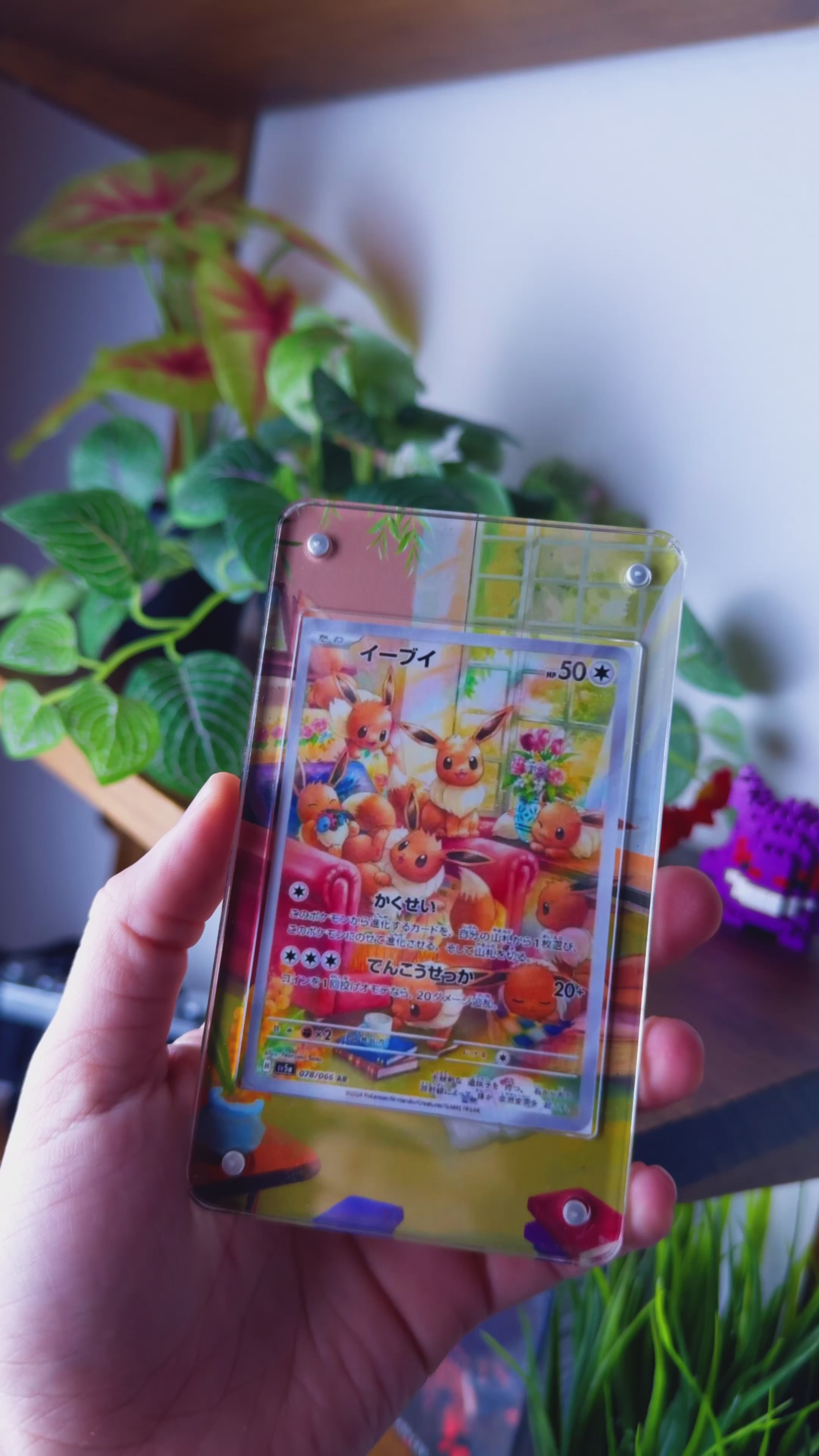 Eevee Illustration Rare | Card Display Case Extended Art for Eevee Illustration Rare | Card Display Case Extended Art for