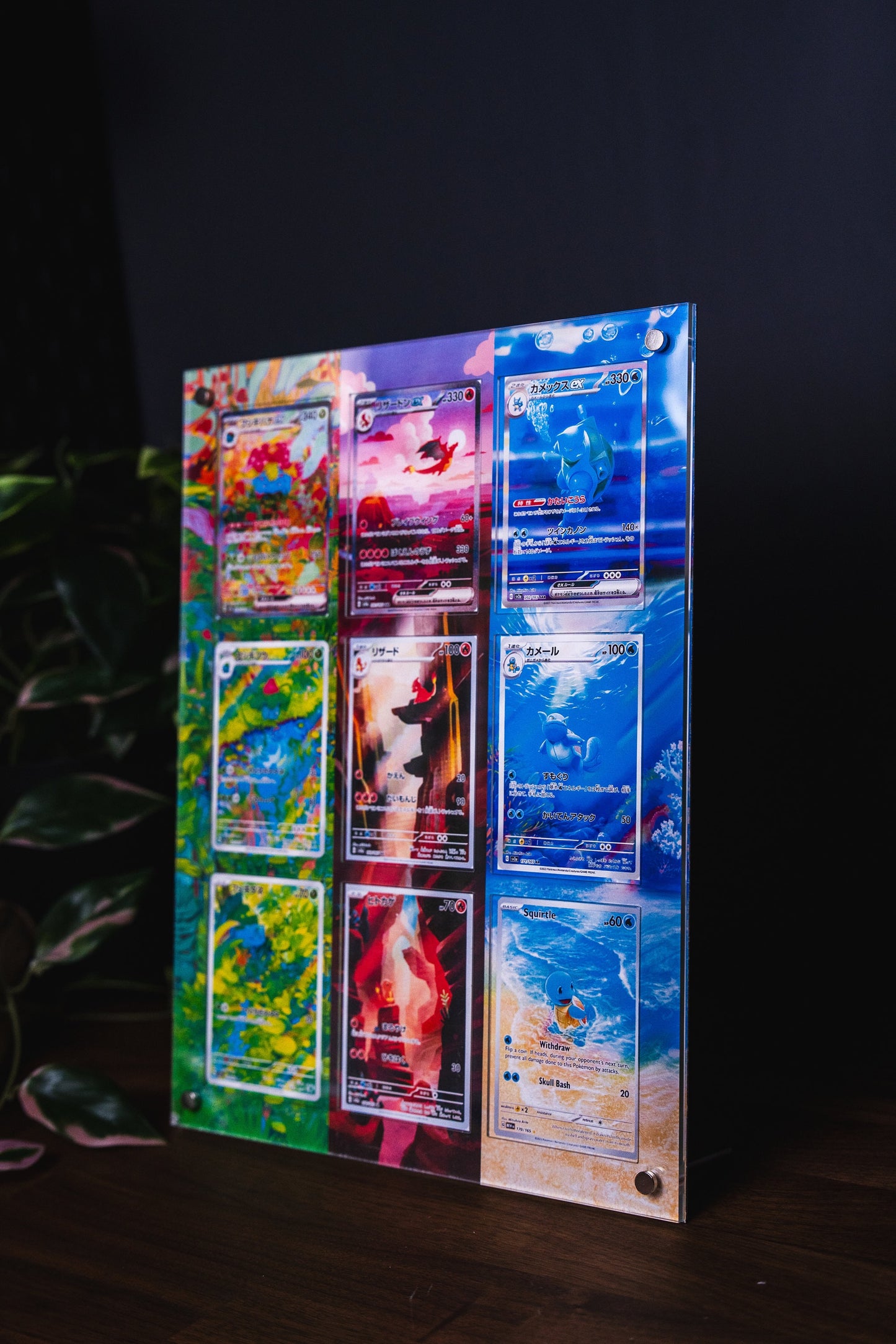 Charizard Blastoise Venusaur ex | Card Display Case Extended Art for Pokemon Card
