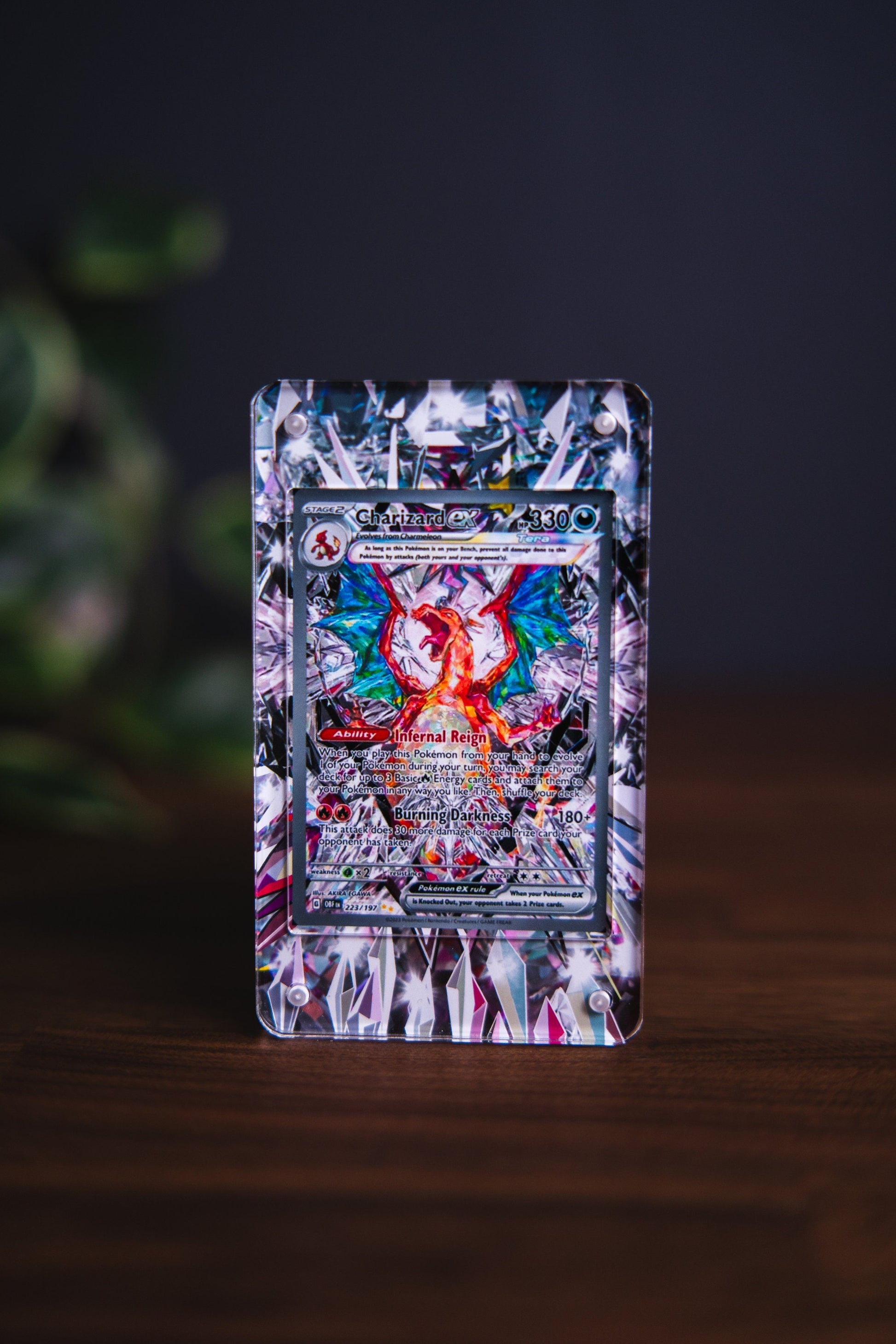 Charizard ex SIR Alt Art | Card Display Case Extended Art for Pokemon Card