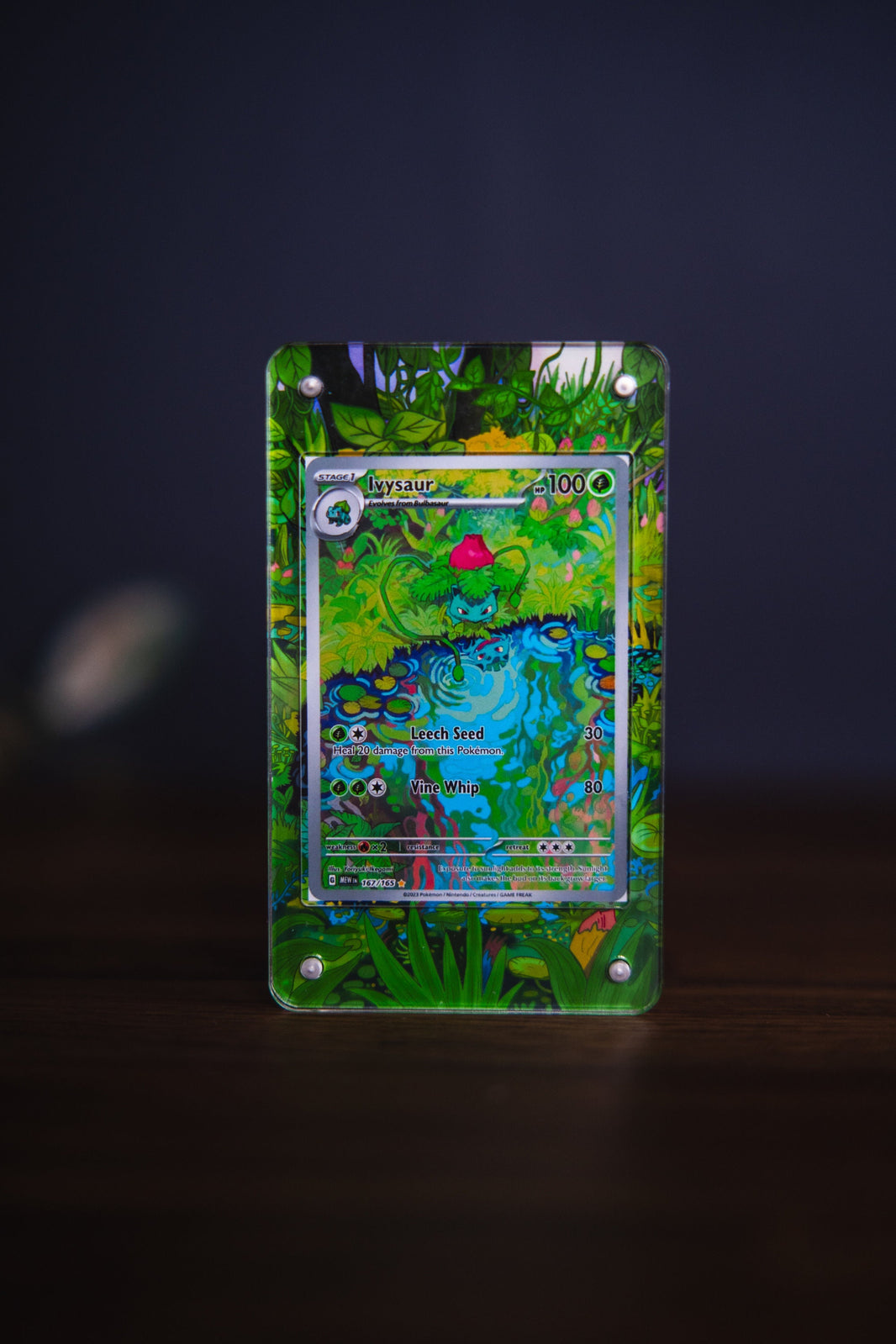 Pokemon 151 Card Display Cases Extended Art – GeeksStop